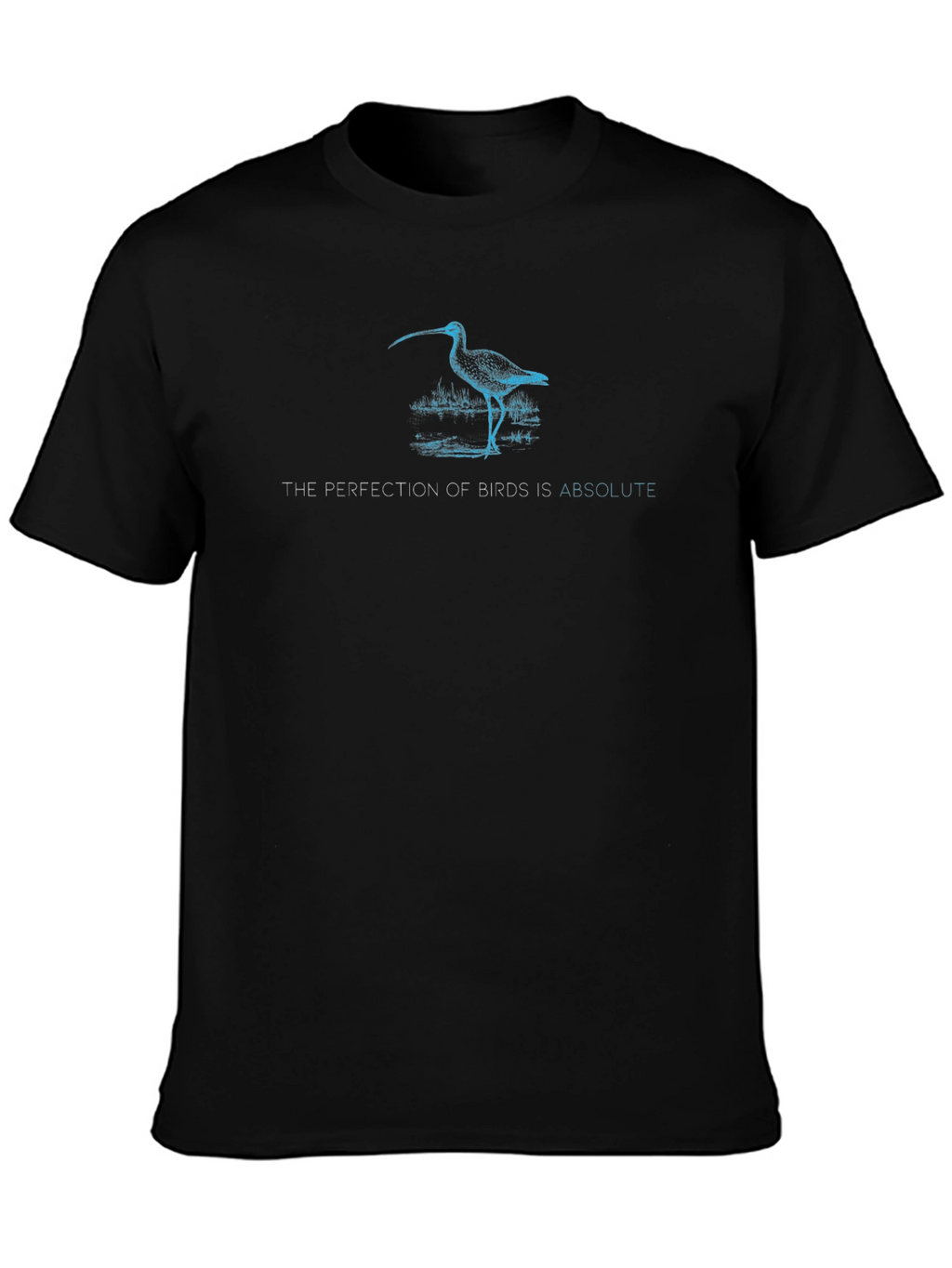 The Perfection of Birds Tee - Black