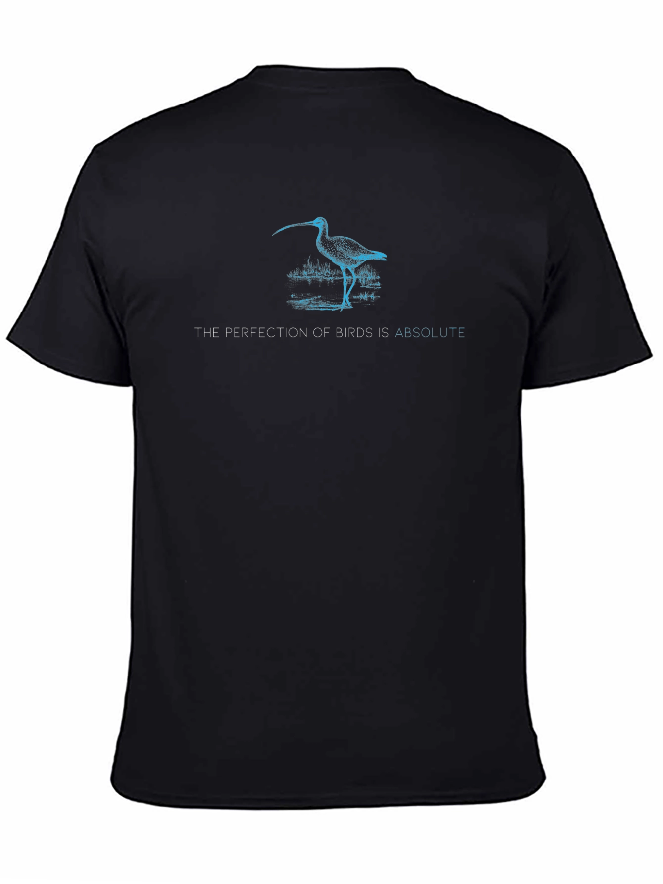 The Perfection of Birds Tee - Black