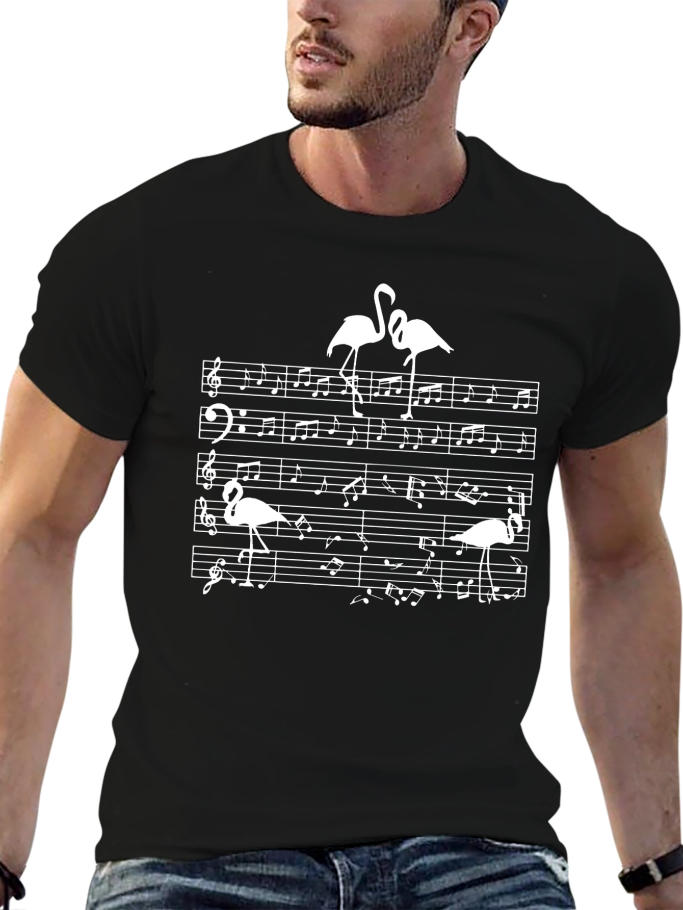 Musical Flamingo T-Shirt - Black Cotton Tee