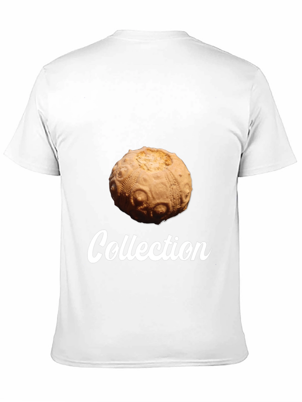 Sea Urchin Collection T-Shirt