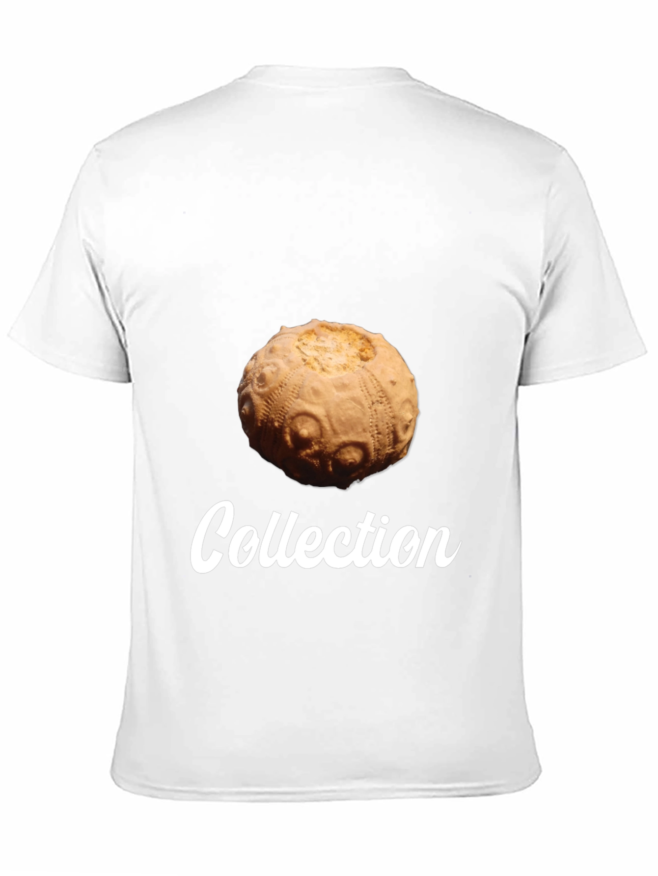 Sea Urchin Collection T-Shirt