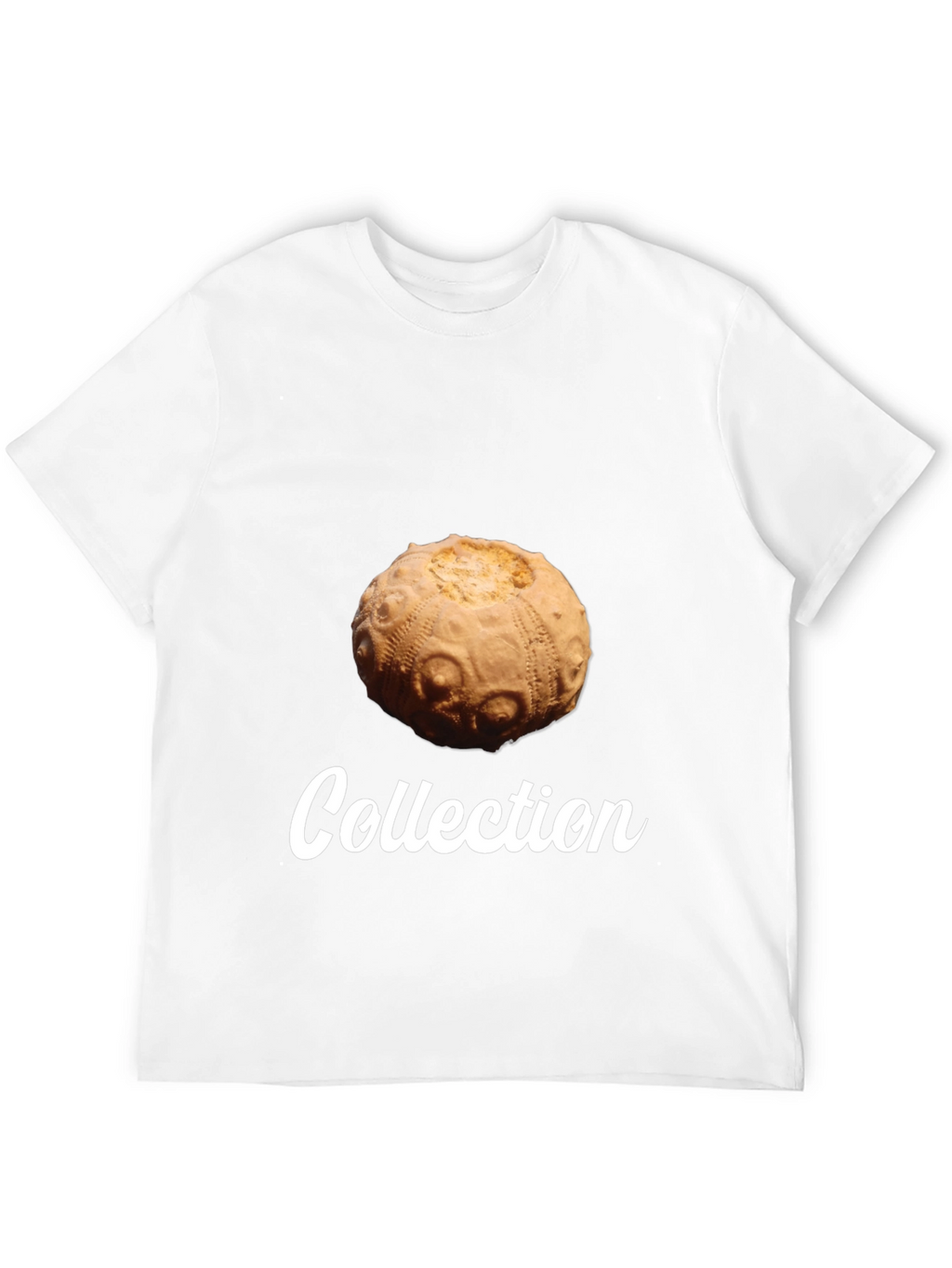 Sea Urchin Collection T-Shirt