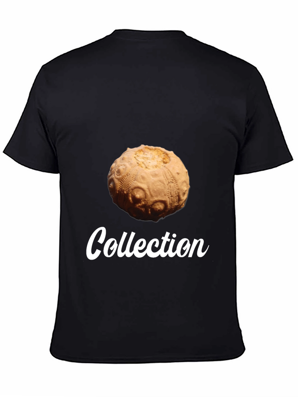 Sea Urchin Collection T-Shirt