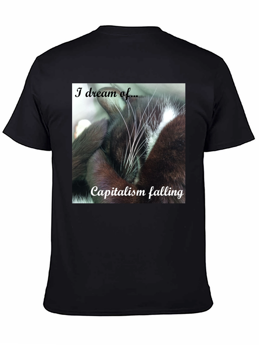 Cat Dreams of Capitalism Falling T-Shirt