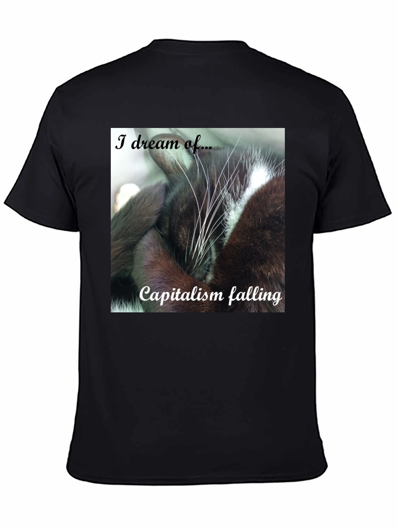 Cat Dreams of Capitalism Falling T-Shirt