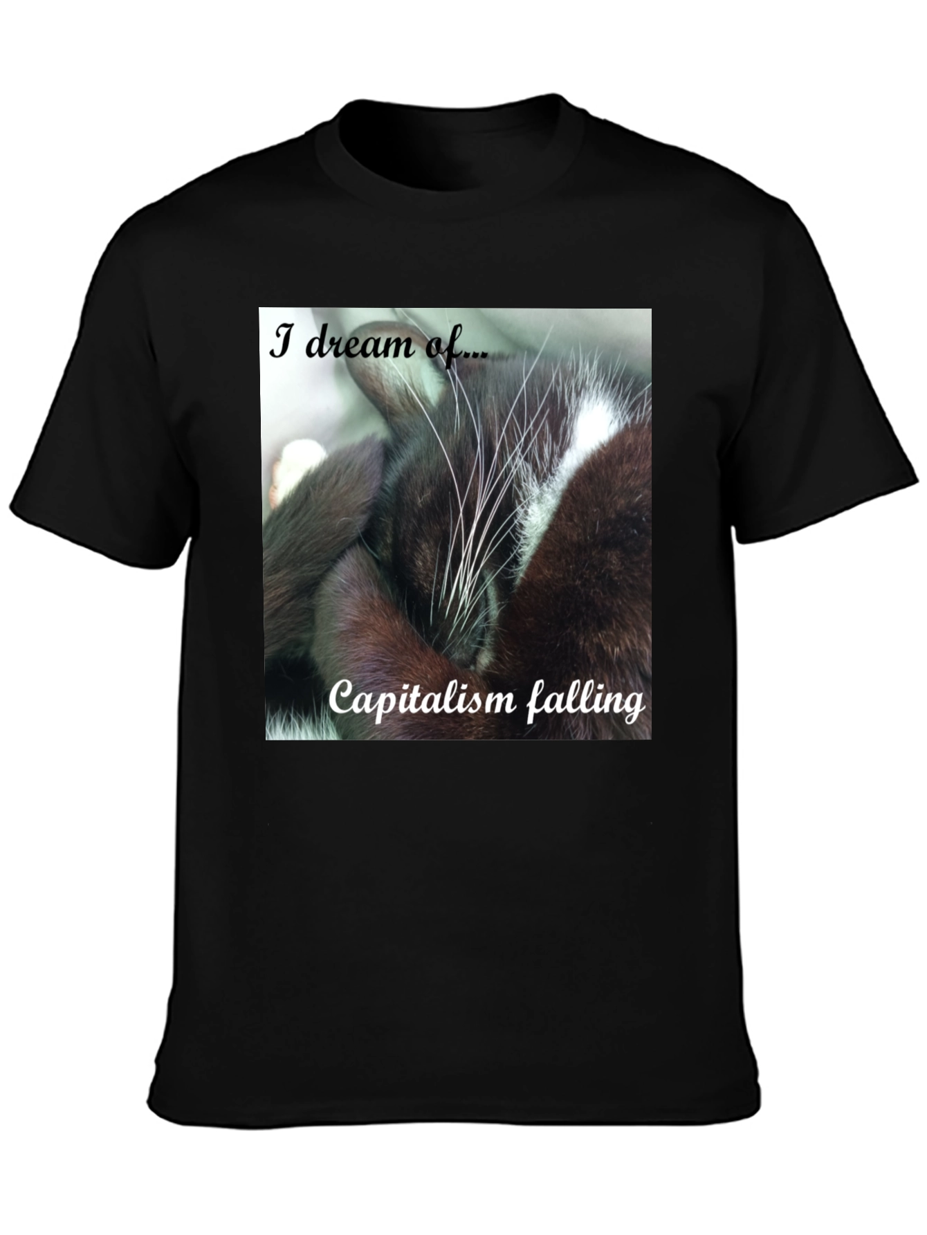 Cat Dreams of Capitalism Falling T-Shirt