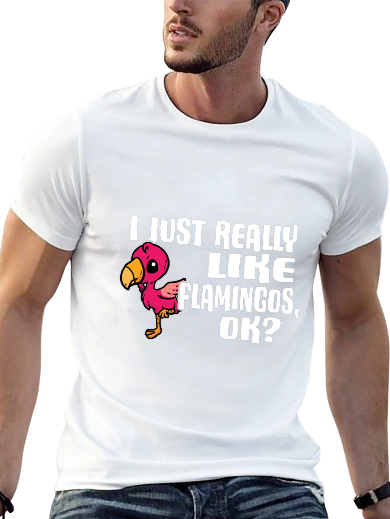 Flamingo Lover T-Shirt - I Just Really Like Flamingos OK?