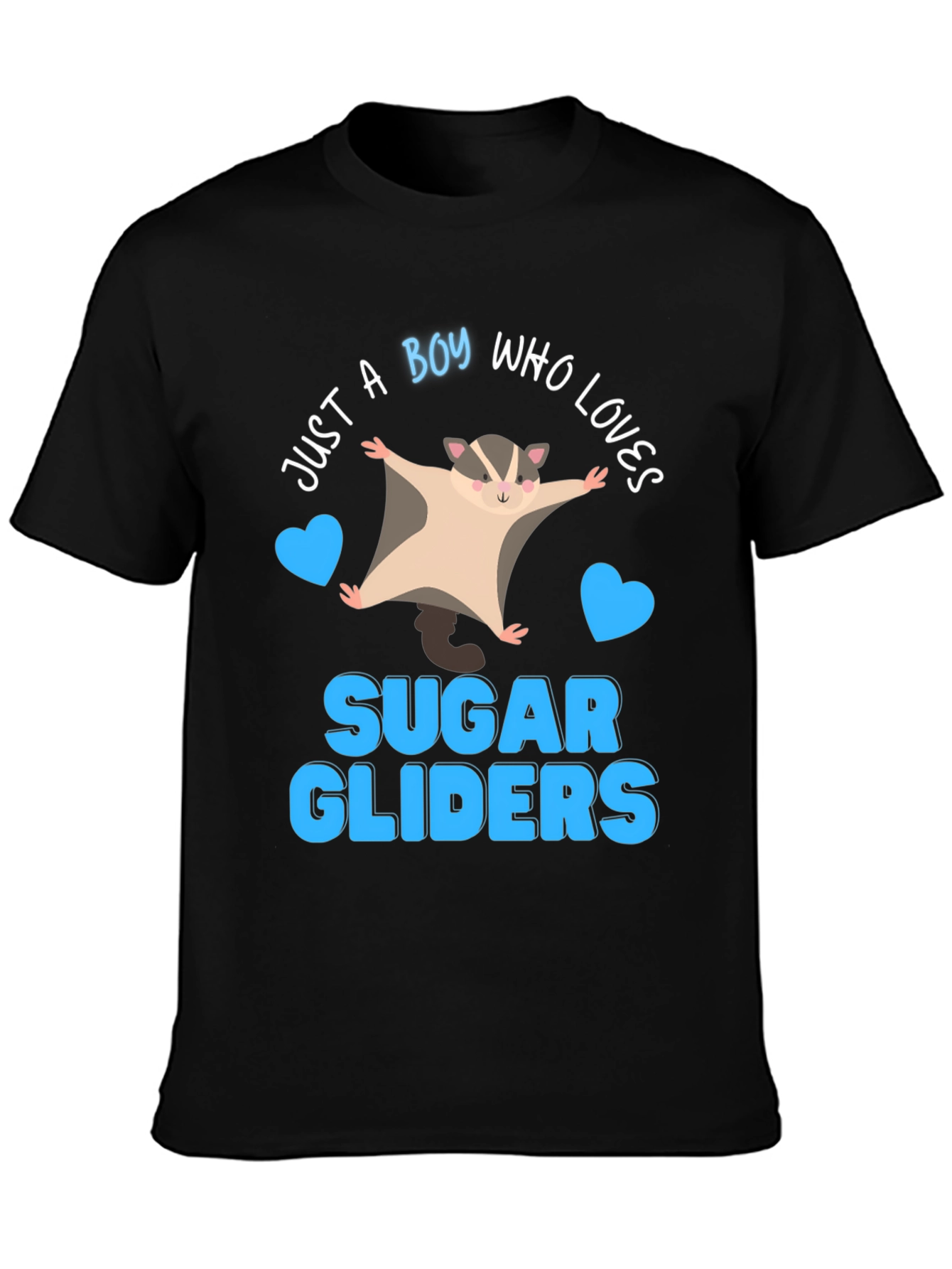Boy Who Loves Sugar Gliders T-Shirt