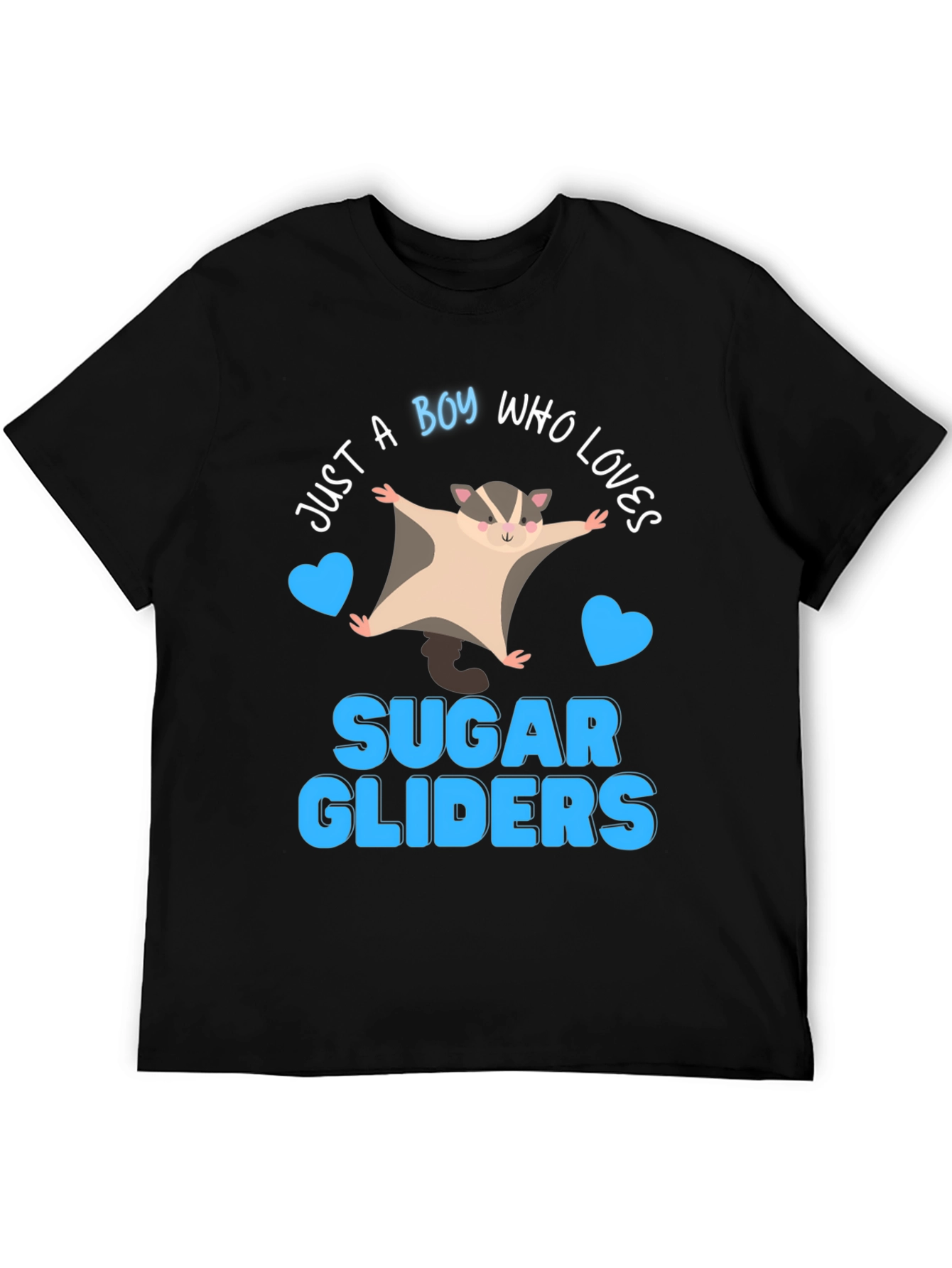 Boy Who Loves Sugar Gliders T-Shirt