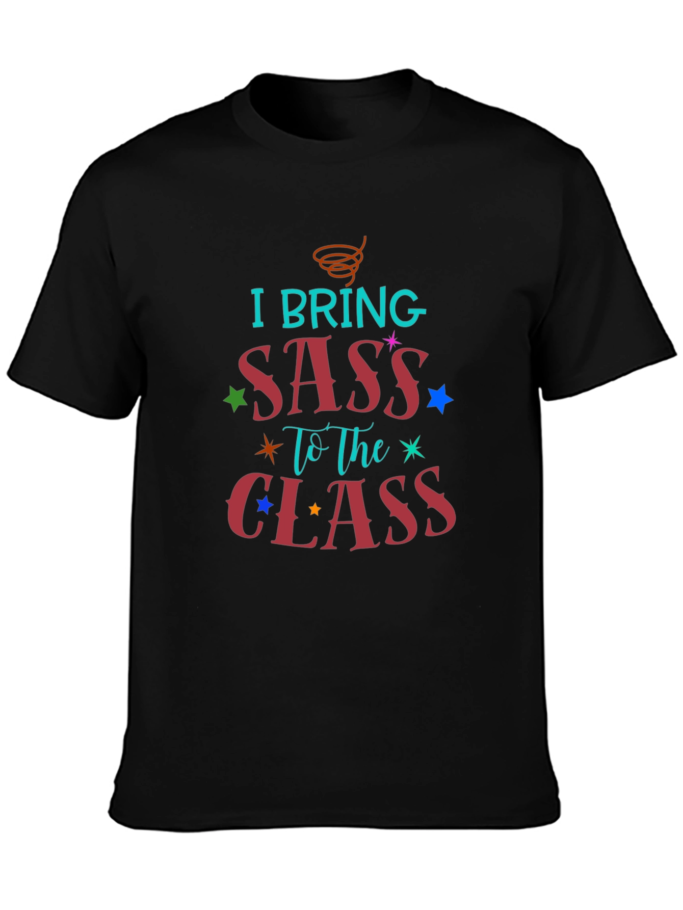 I Bring Sass to The Class T-Shirt