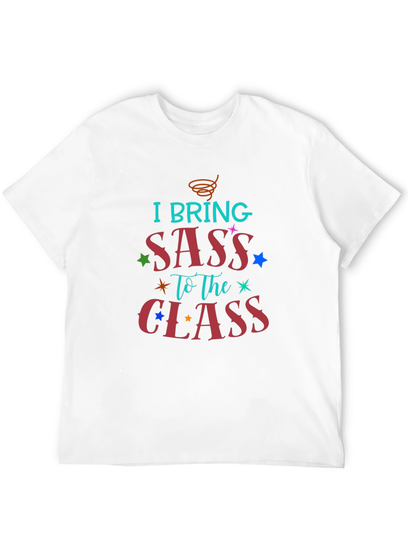 I Bring Sass to The Class T-Shirt