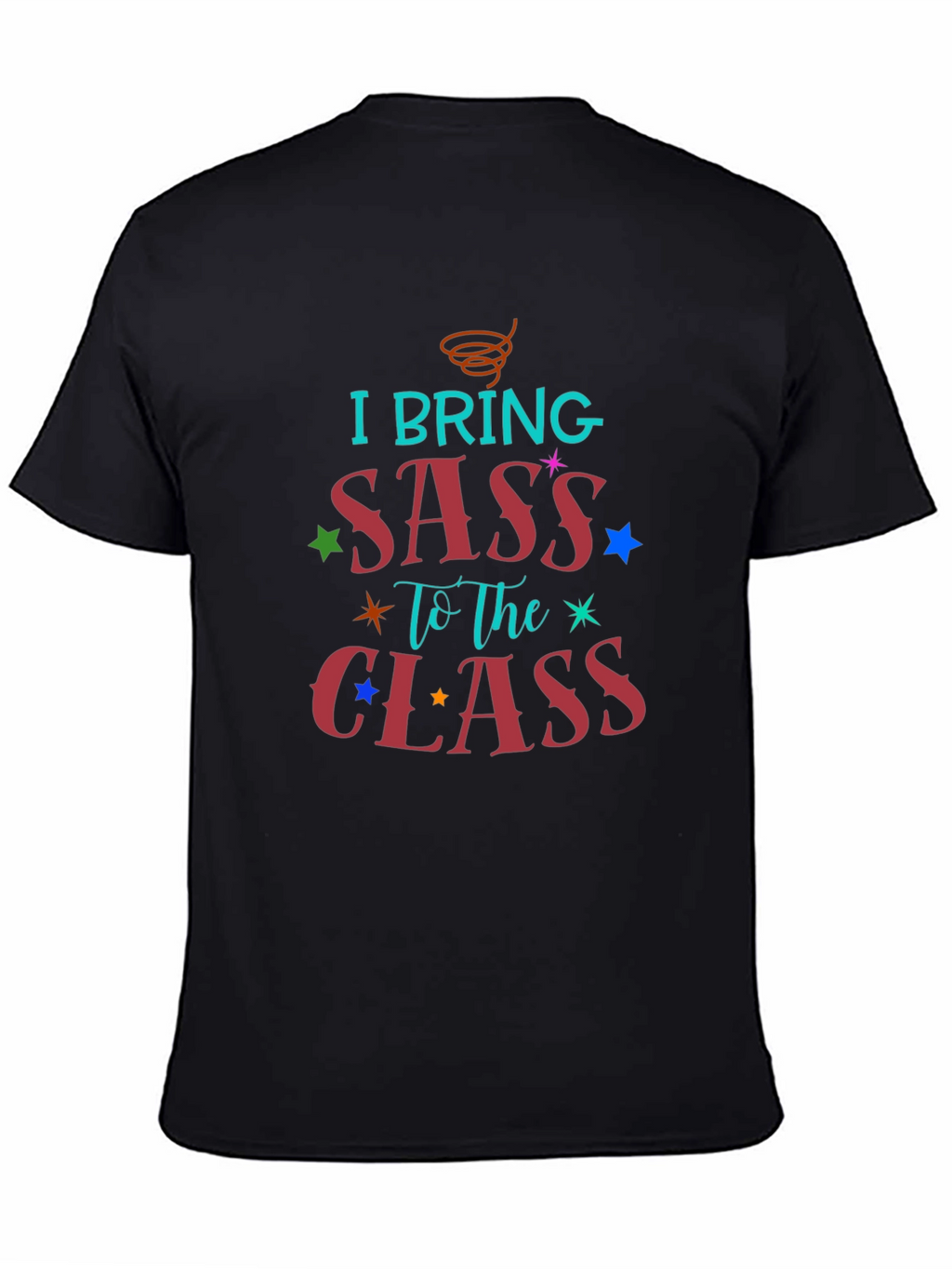I Bring Sass to The Class T-Shirt