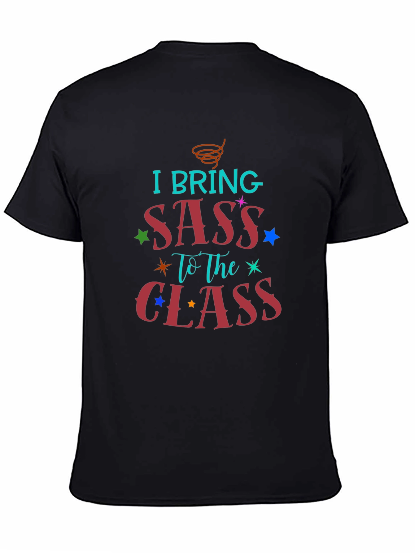 I Bring Sass to The Class T-Shirt