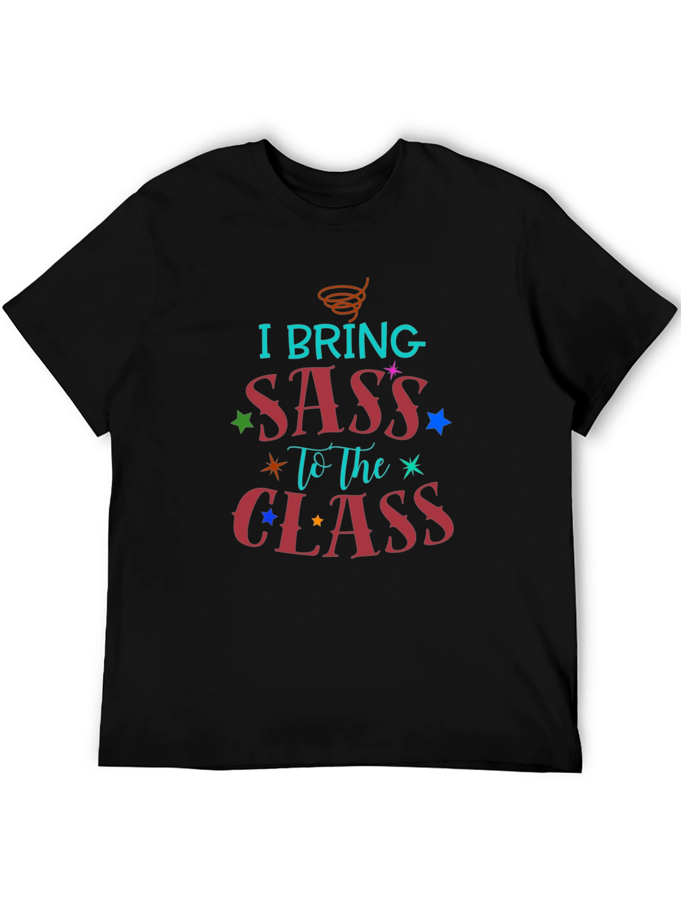 I Bring Sass to The Class T-Shirt