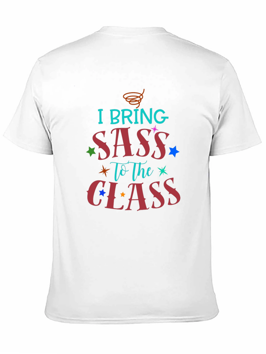 I Bring Sass to The Class T-Shirt