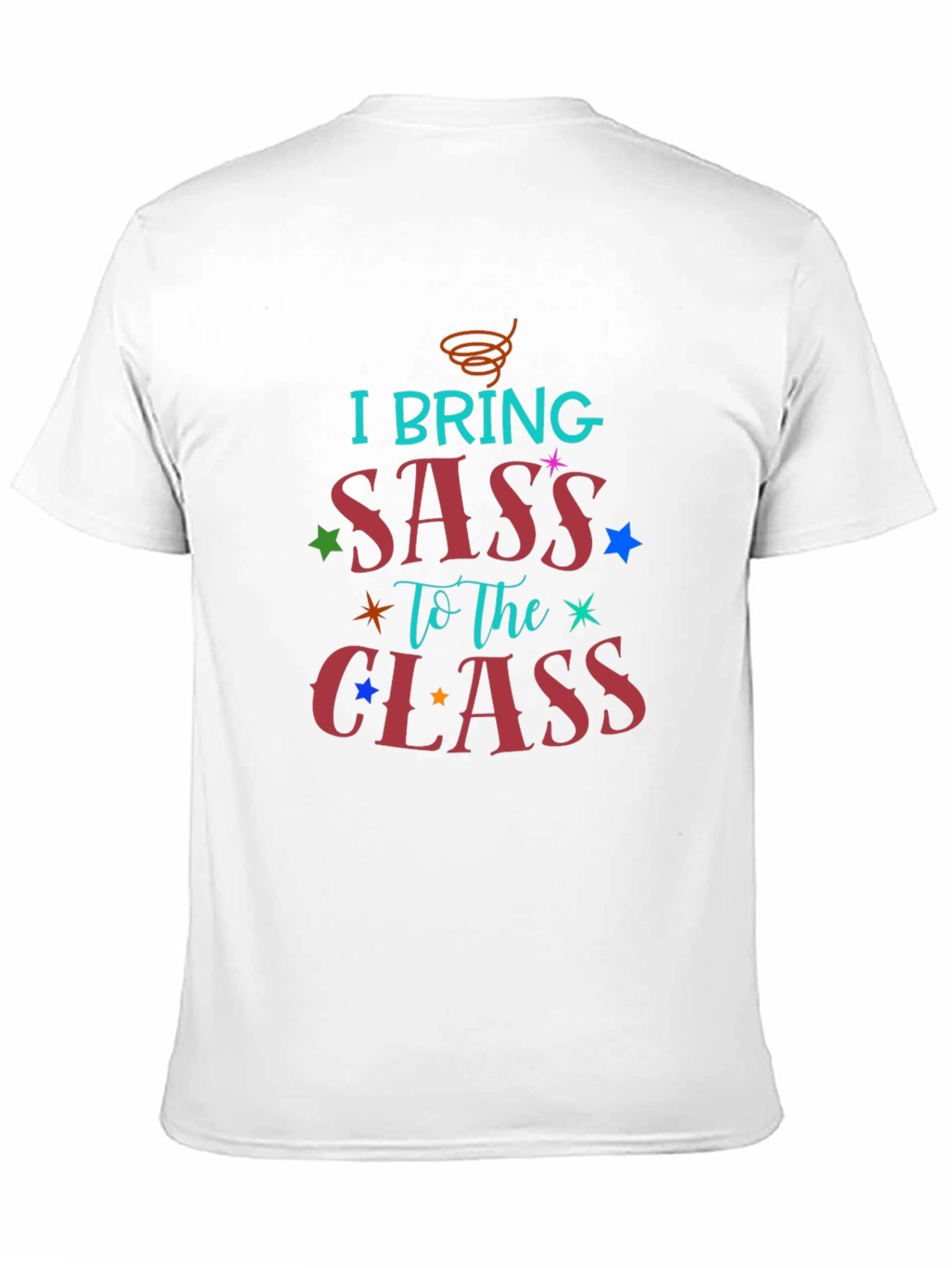 I Bring Sass to The Class T-Shirt