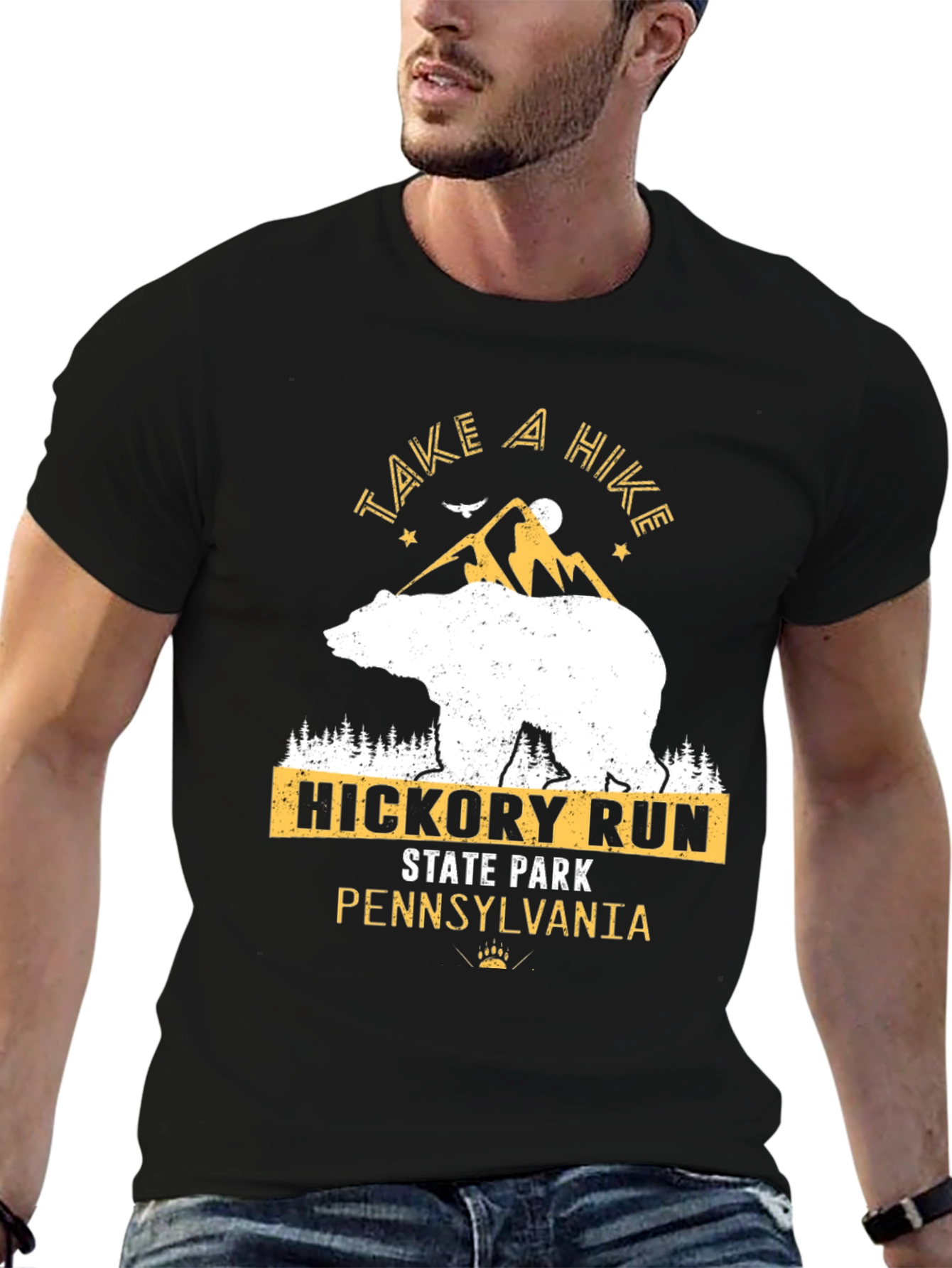 Hickory Run State Park Pennsylvania Graphic T-Shirt