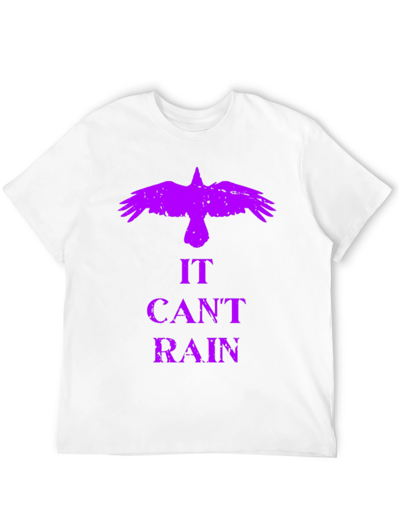 It Cant Rain Crow Graphic Tee