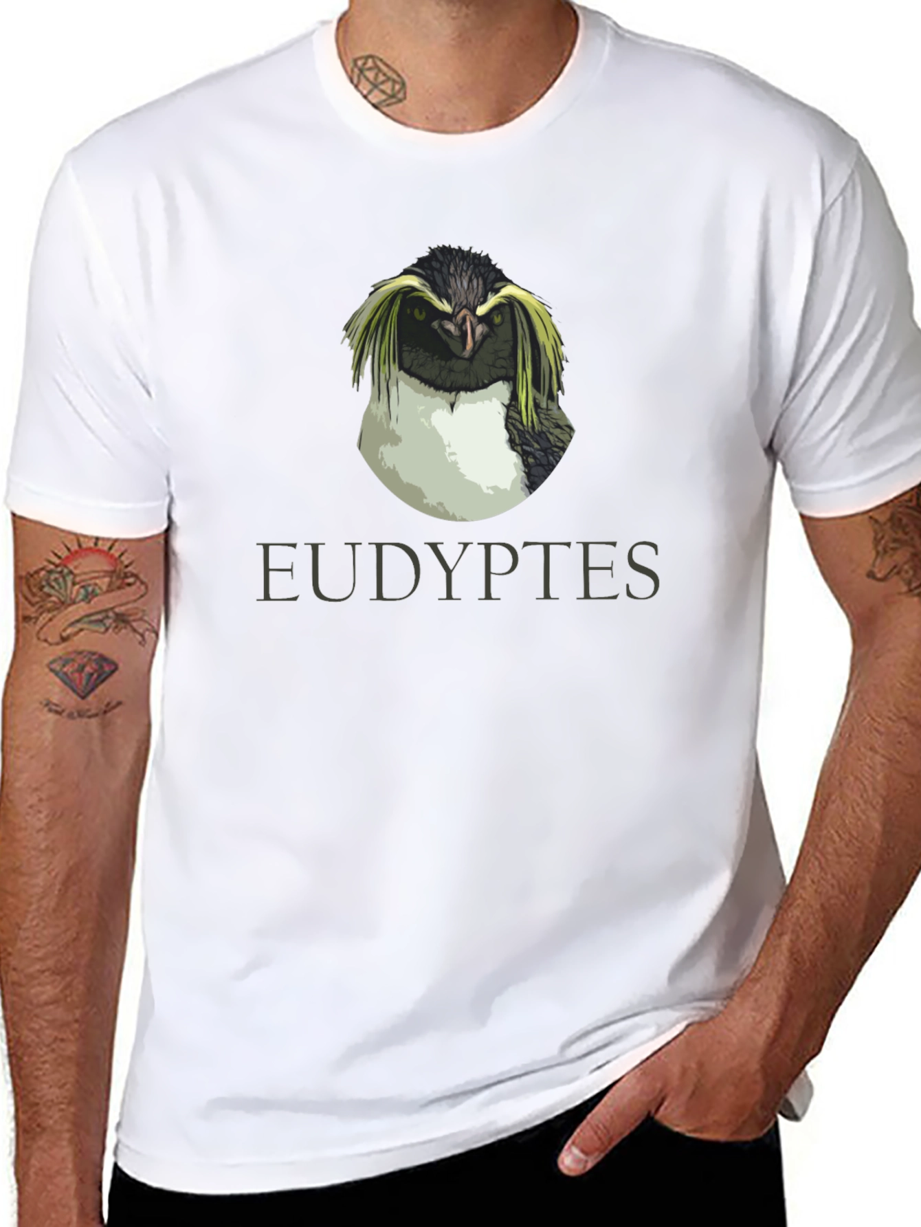 Eudyptes Penguin Graphic T-Shirt - Black