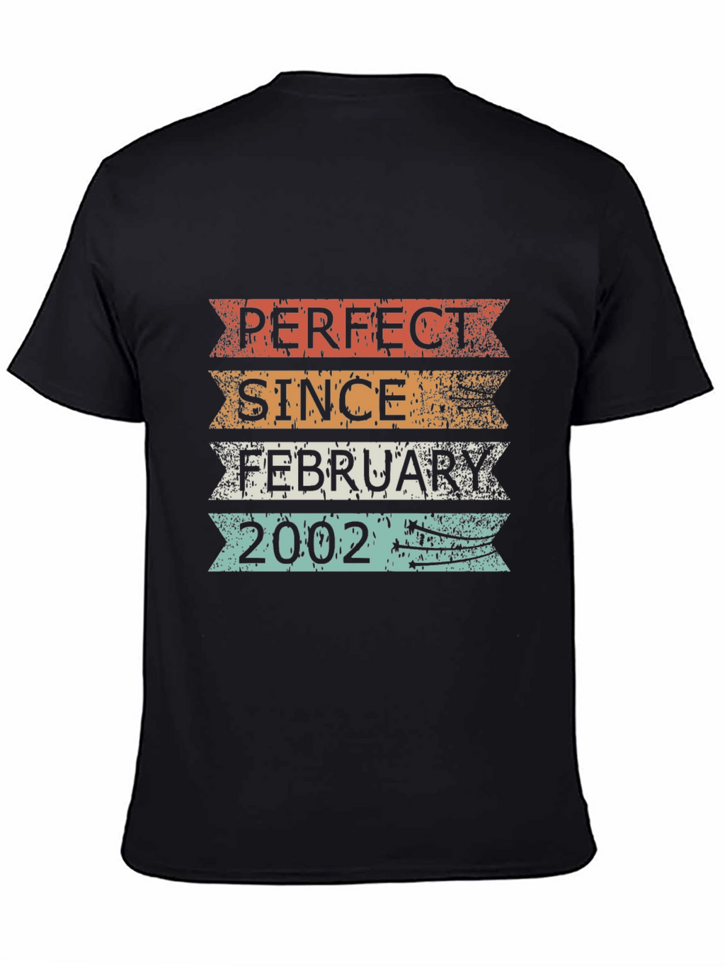 Perfect Since February 2002 T-Shirt