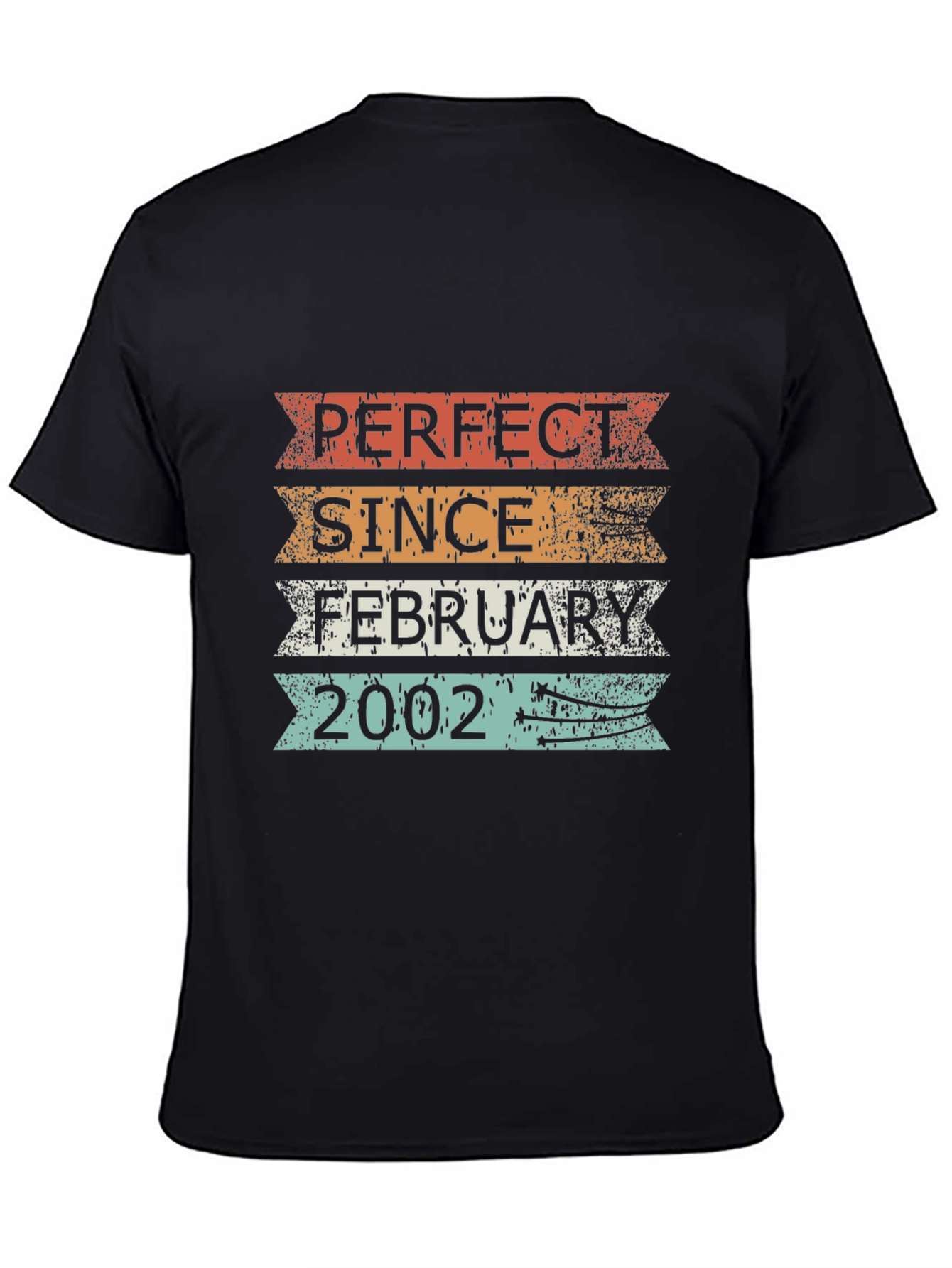 Perfect Since February 2002 T-Shirt