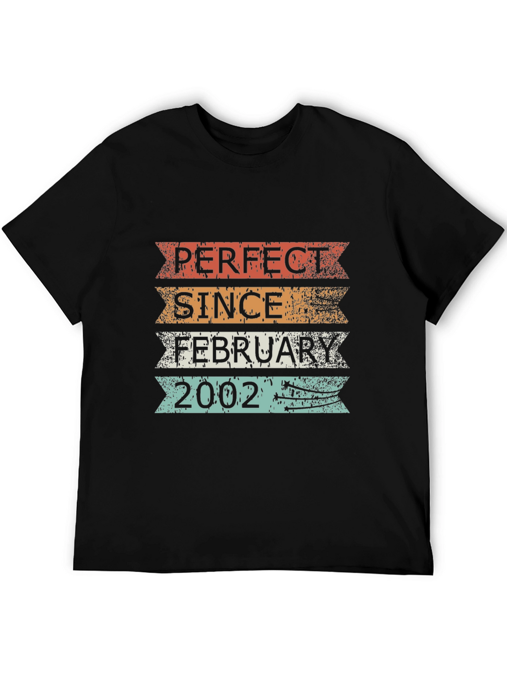 Perfect Since February 2002 T-Shirt