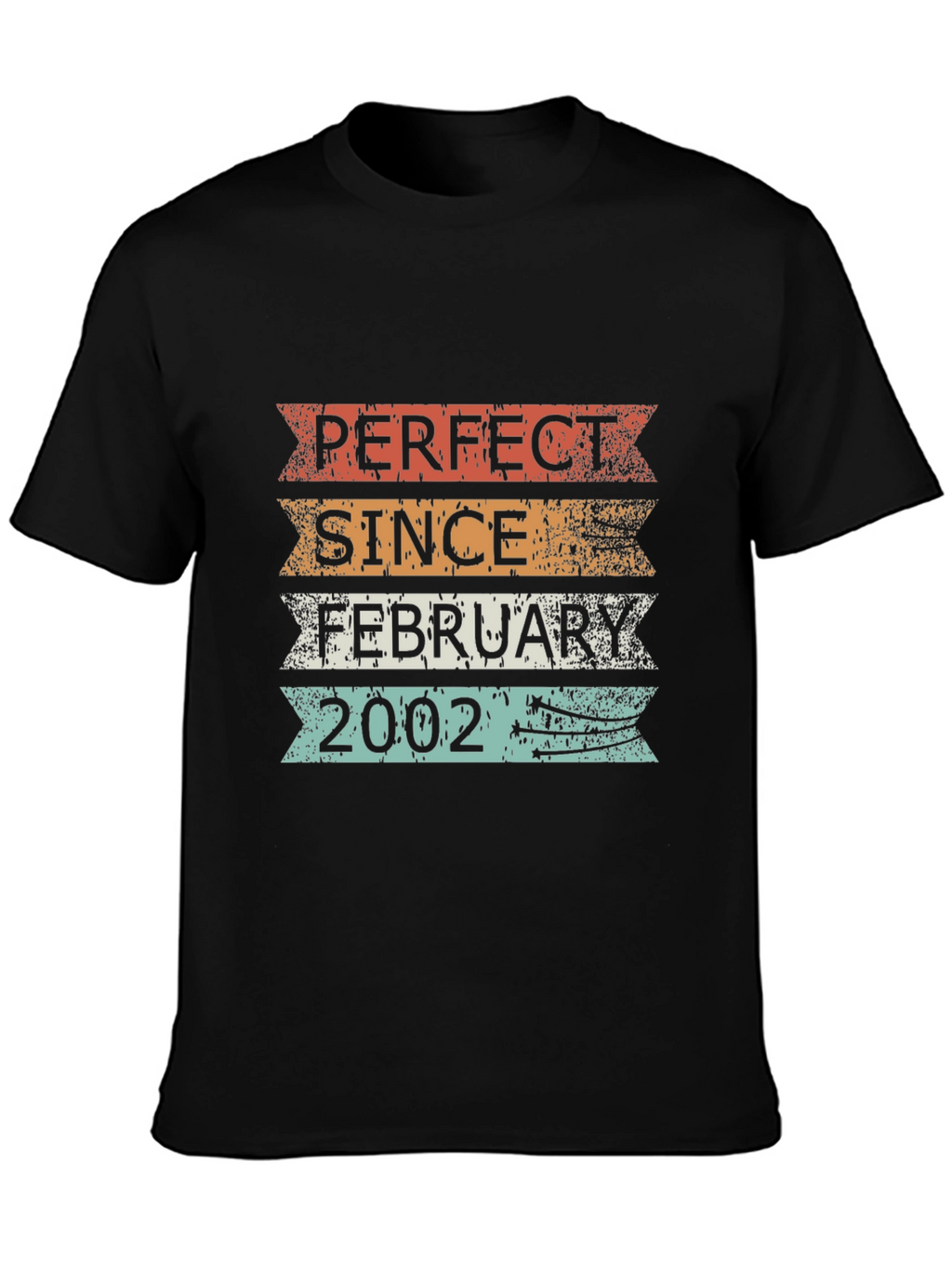 Perfect Since February 2002 T-Shirt