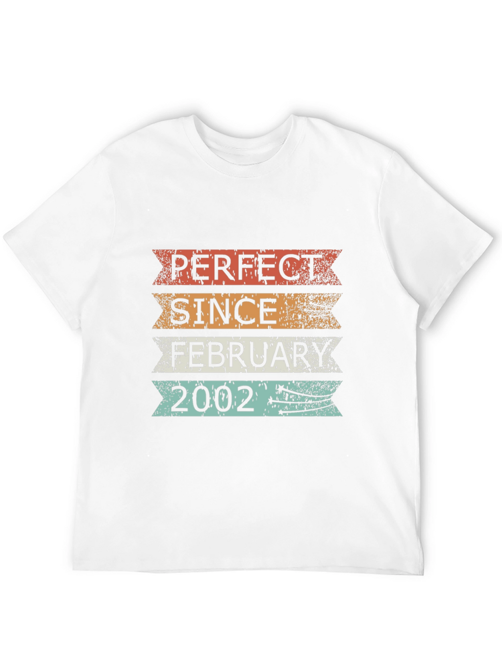 Perfect Since February 2002 T-Shirt