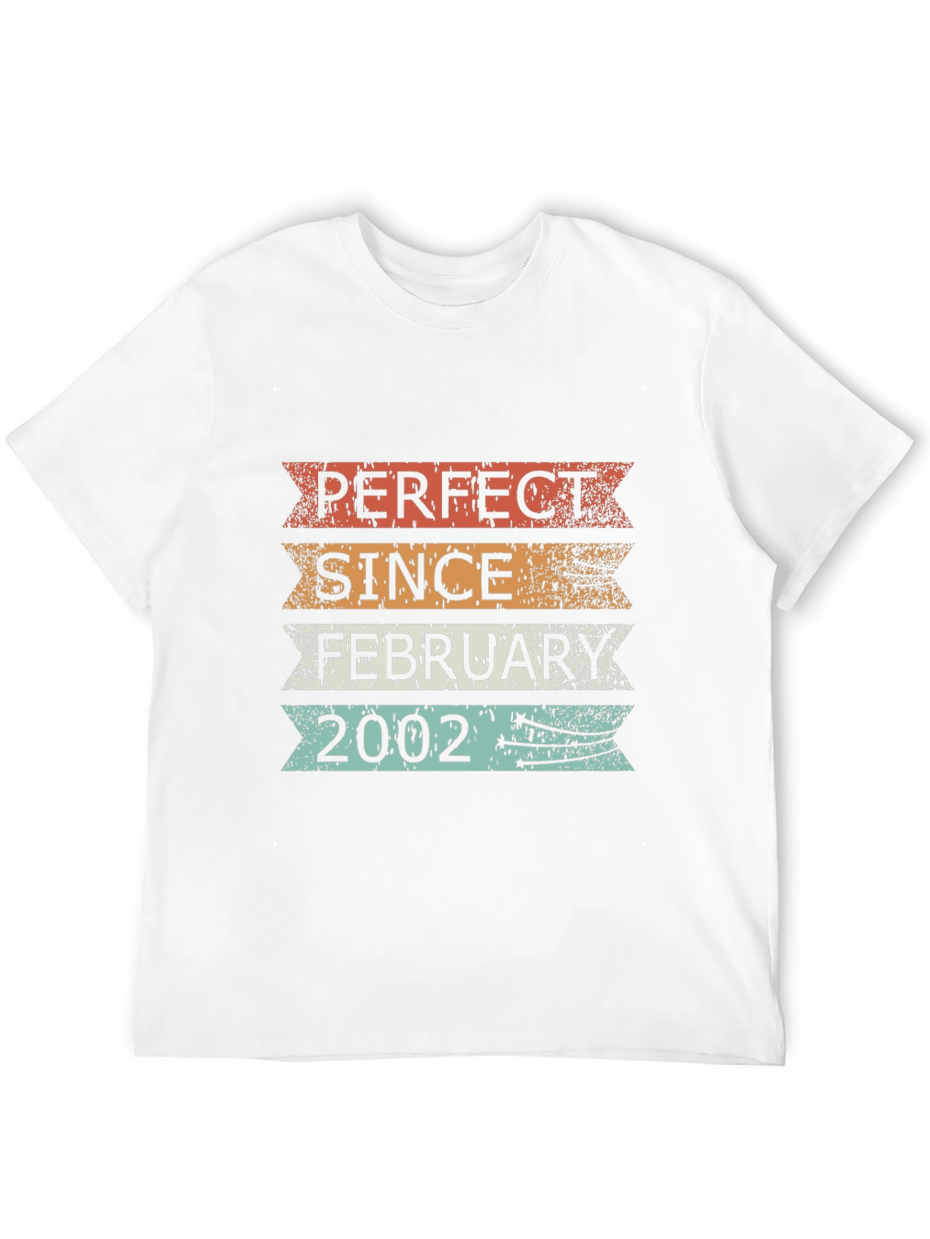 Perfect Since February 2002 T-Shirt