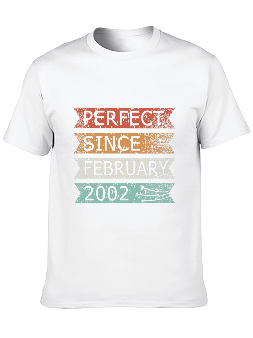 Perfect Since February 2002 T-Shirt
