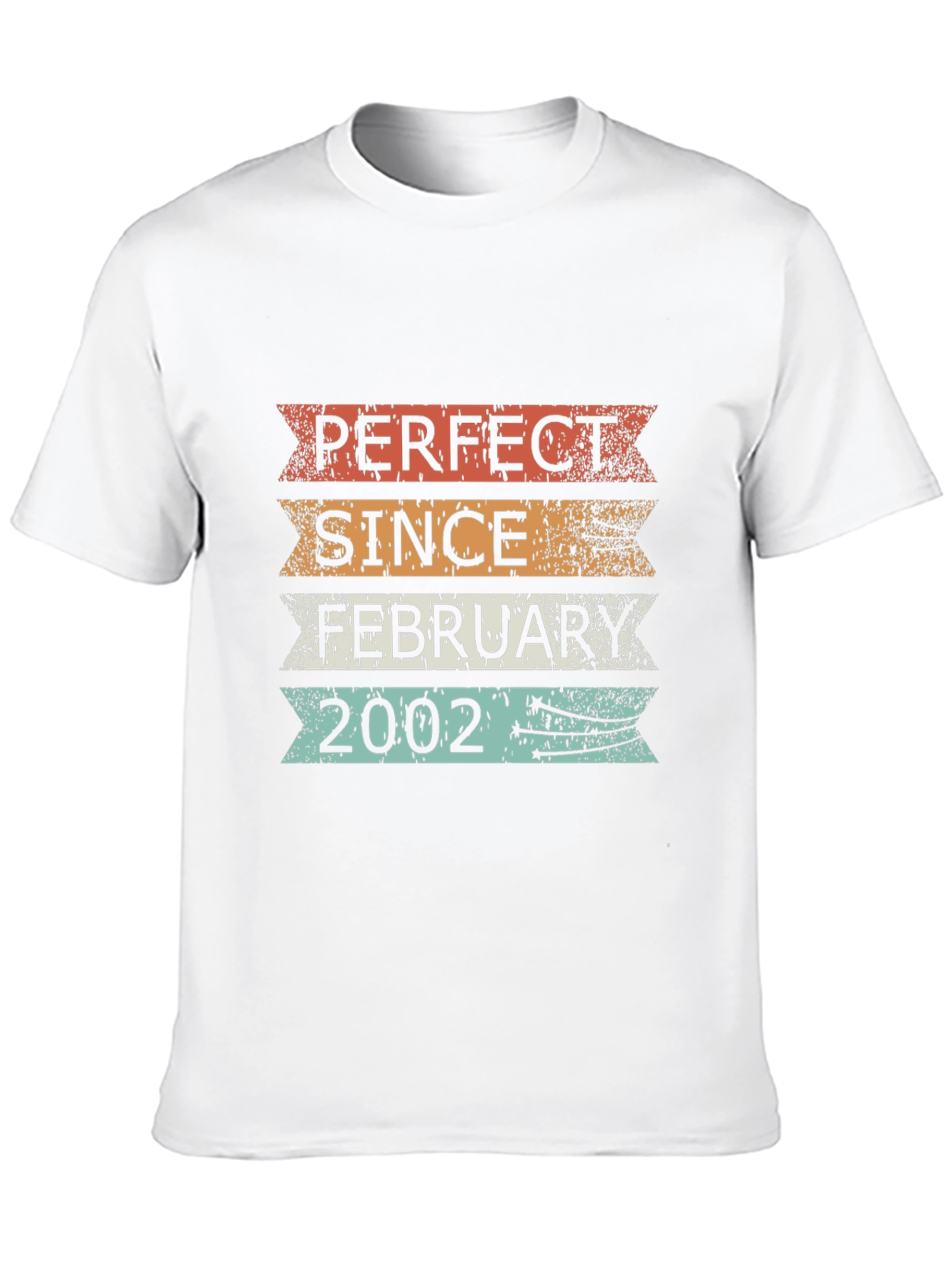 Perfect Since February 2002 T-Shirt