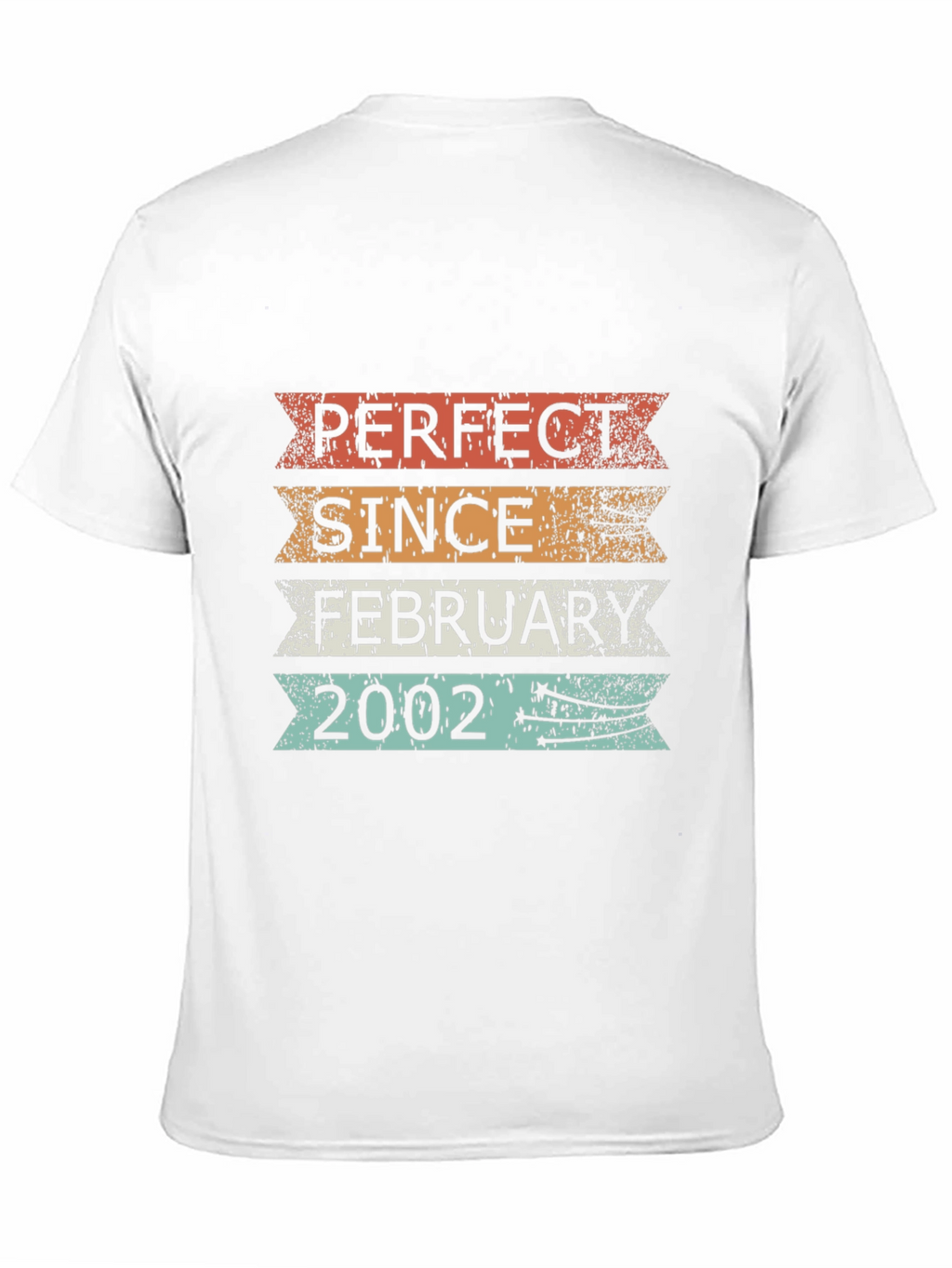 Perfect Since February 2002 T-Shirt
