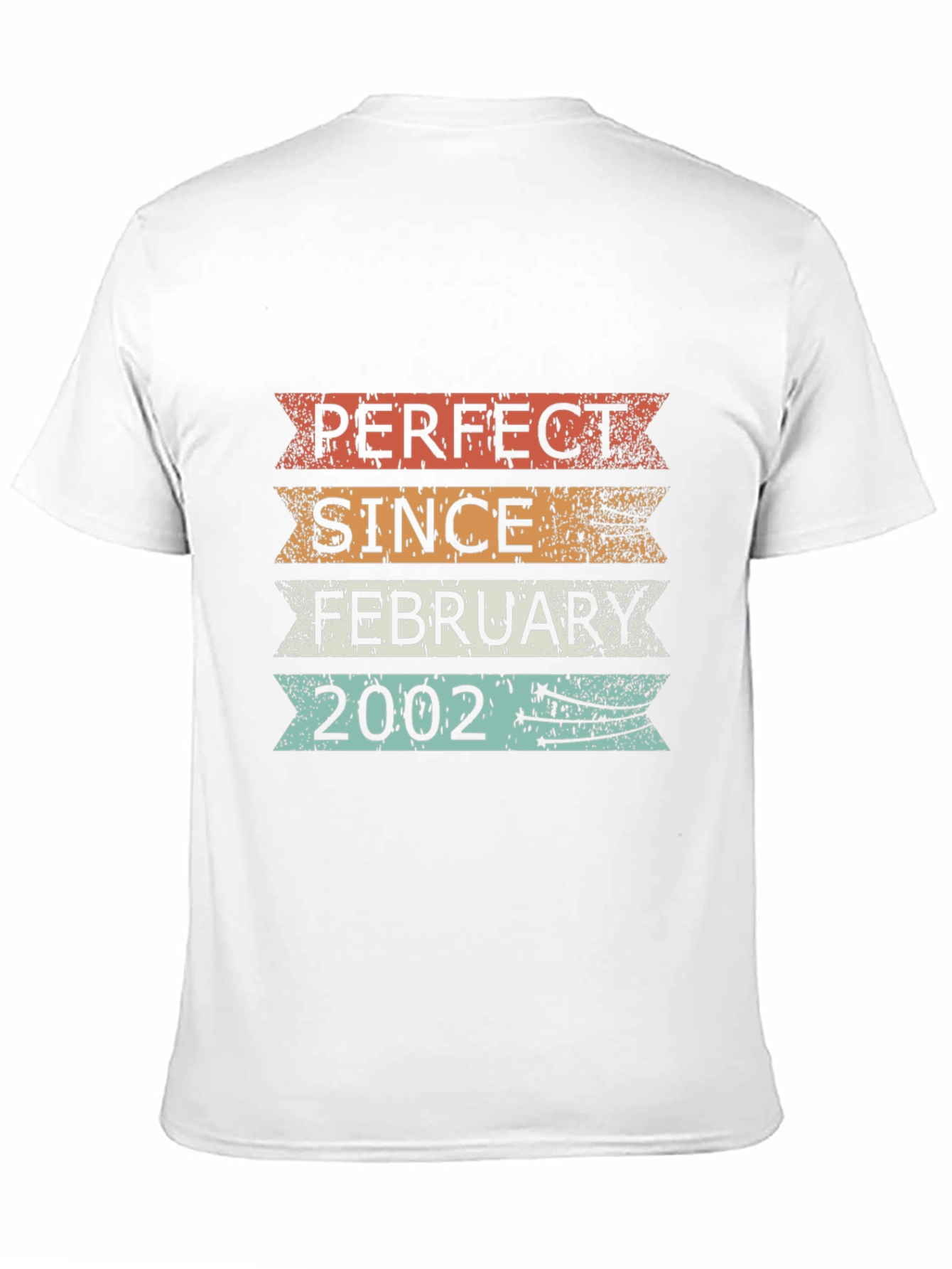 Perfect Since February 2002 T-Shirt