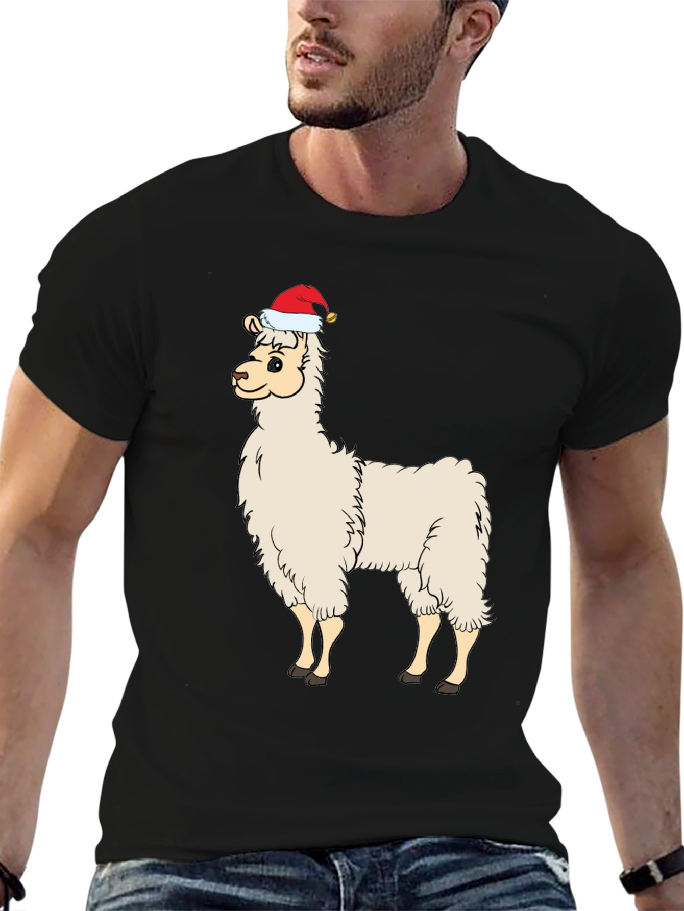 Festive Llama T-Shirt