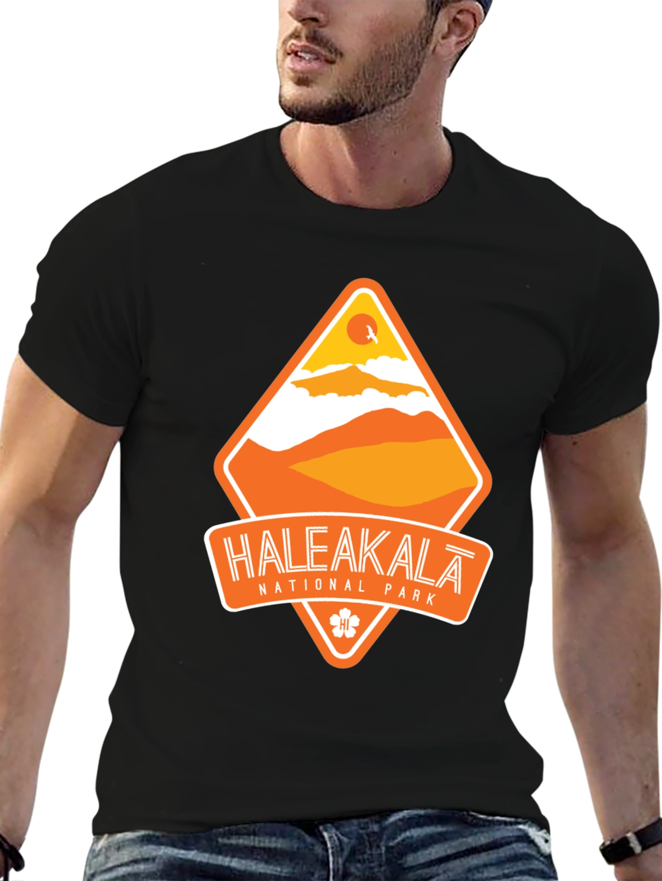 Haleakala National Park Black T-Shirt