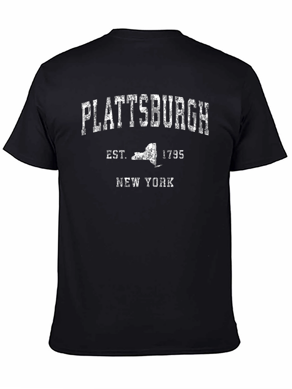 Plattsburgh New York Est 1795 Graphic T-Shirt