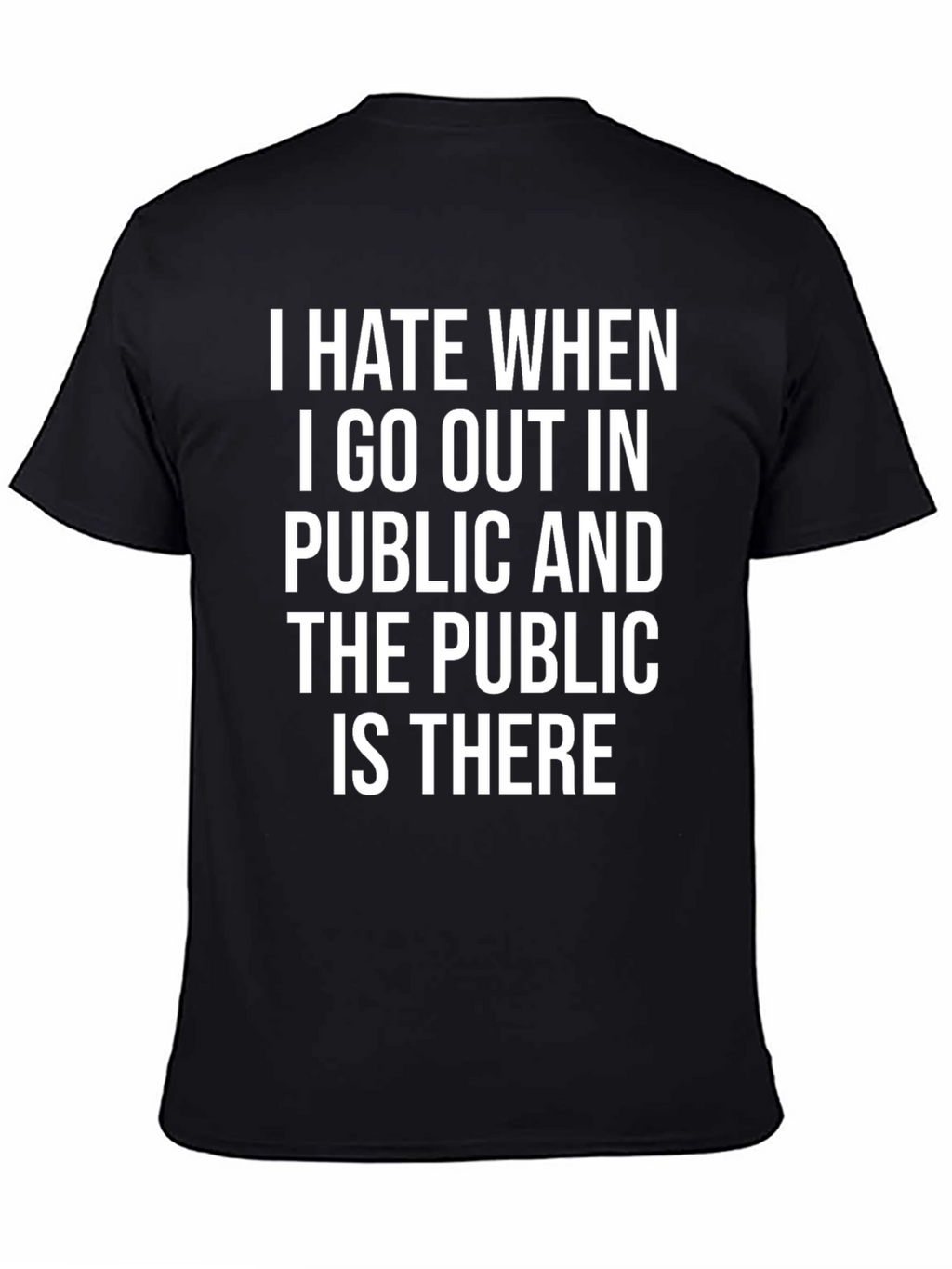 I Hate When the Public is There T-Shirt
