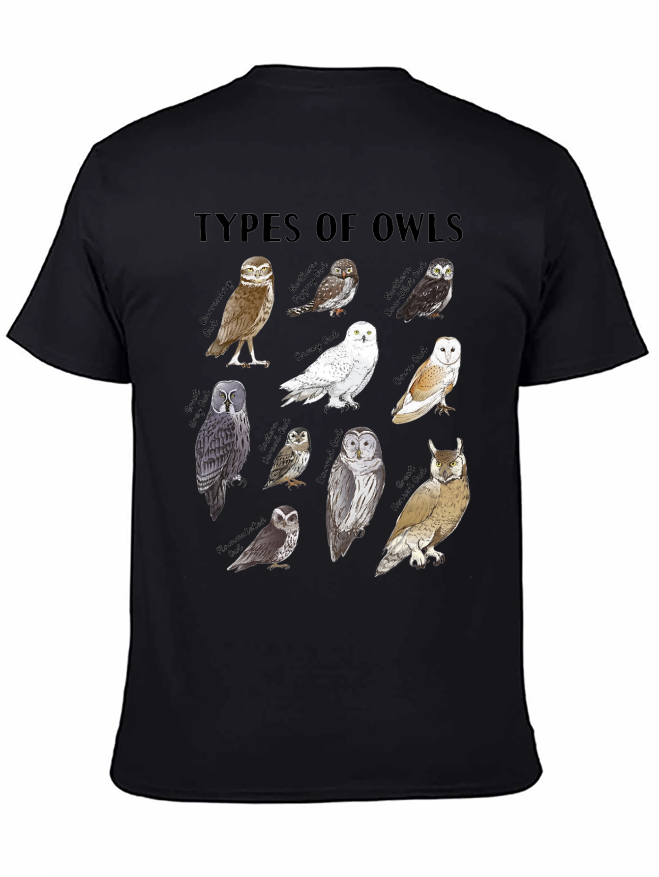 Types of Owls Graphic T-Shirt - Bird Lover Tee