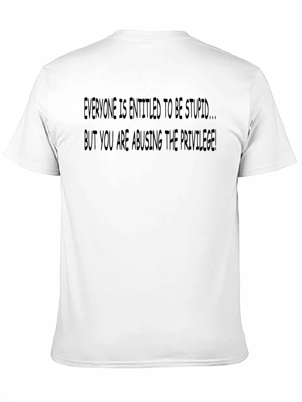 Sarcastic Graphic T-Shirt: Everyone is Entitled To Be Stupid
