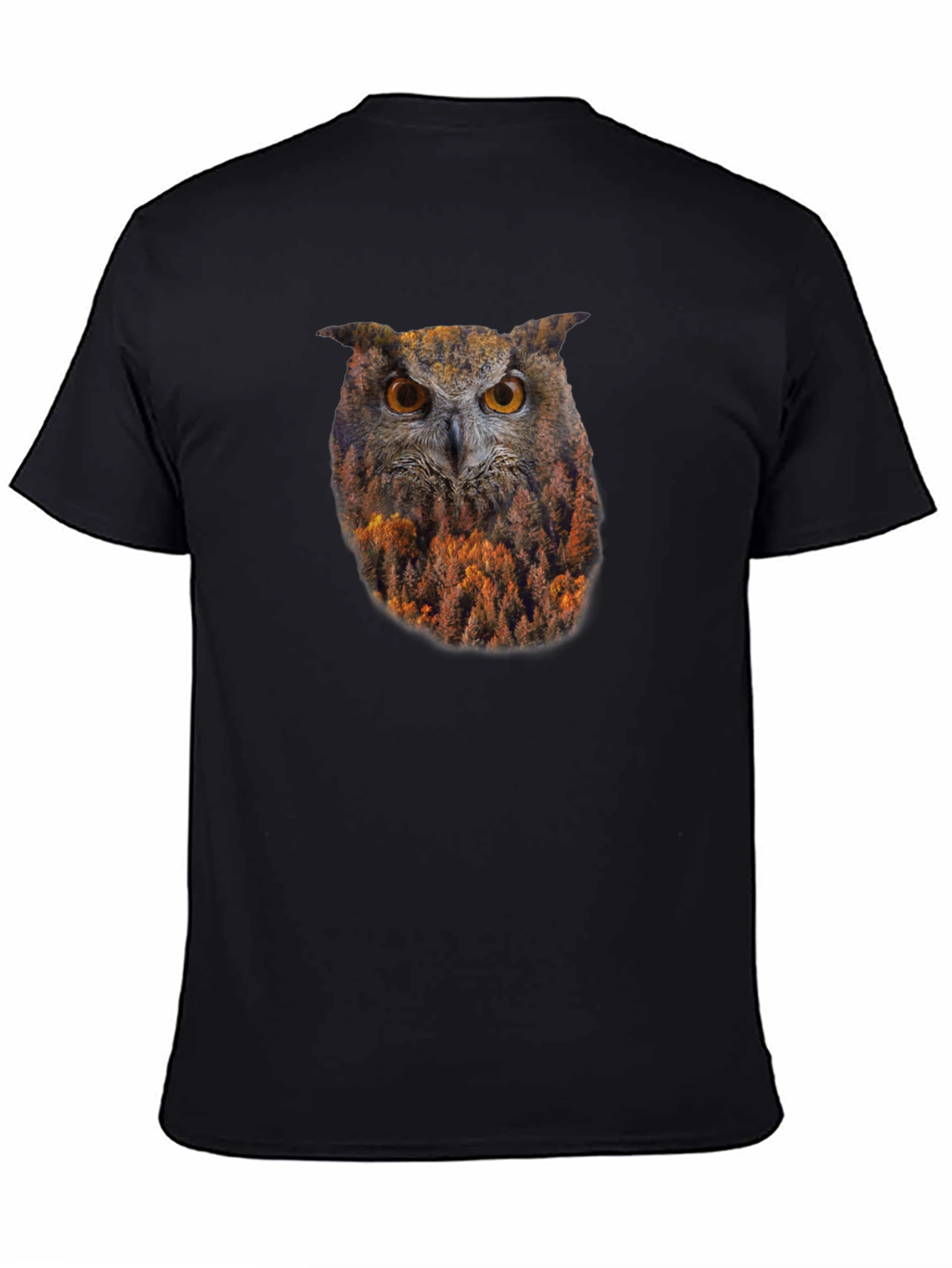 Owl Forest Graphic Print Black T-Shirt