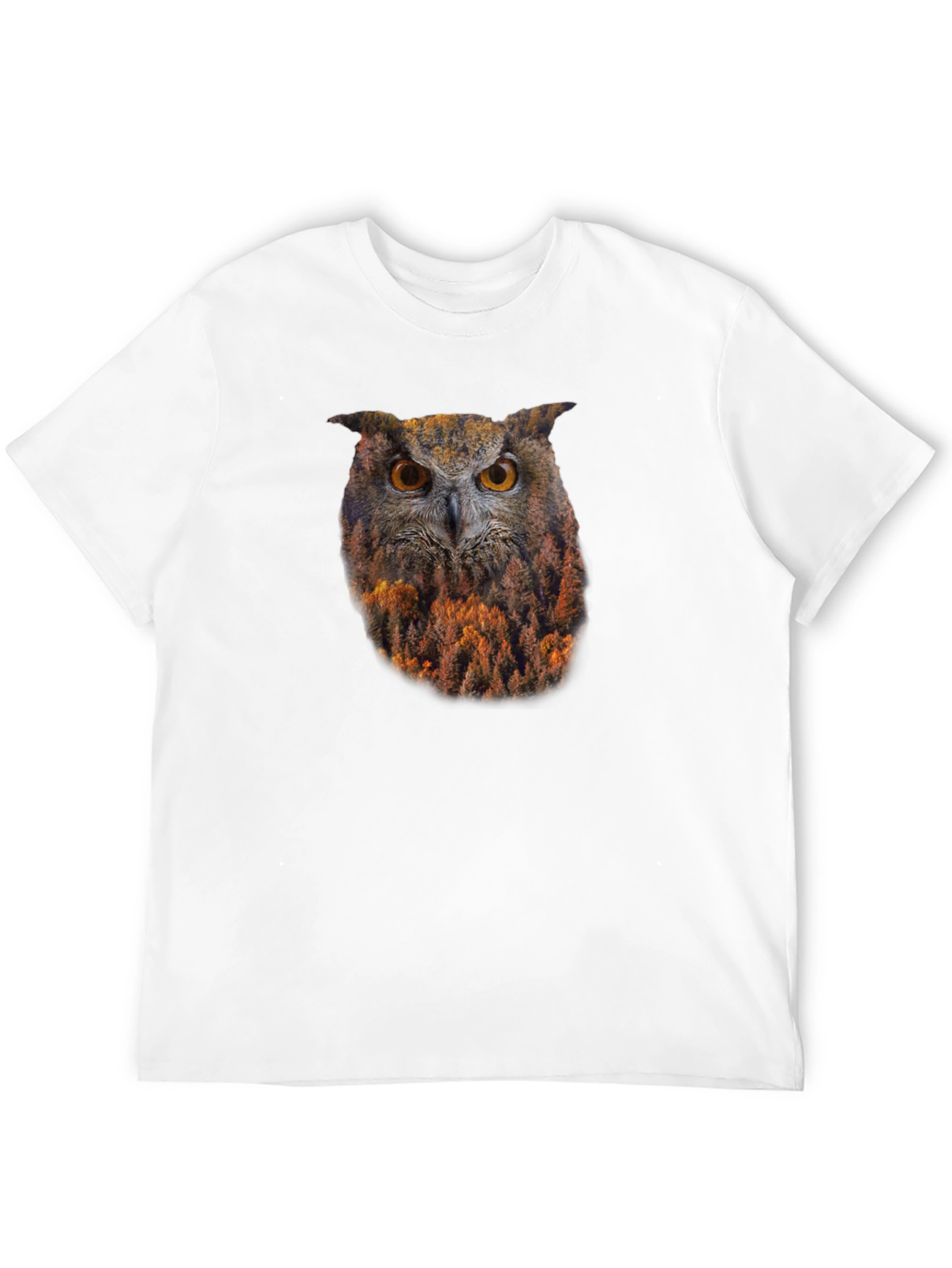 Owl Forest Graphic Print Black T-Shirt