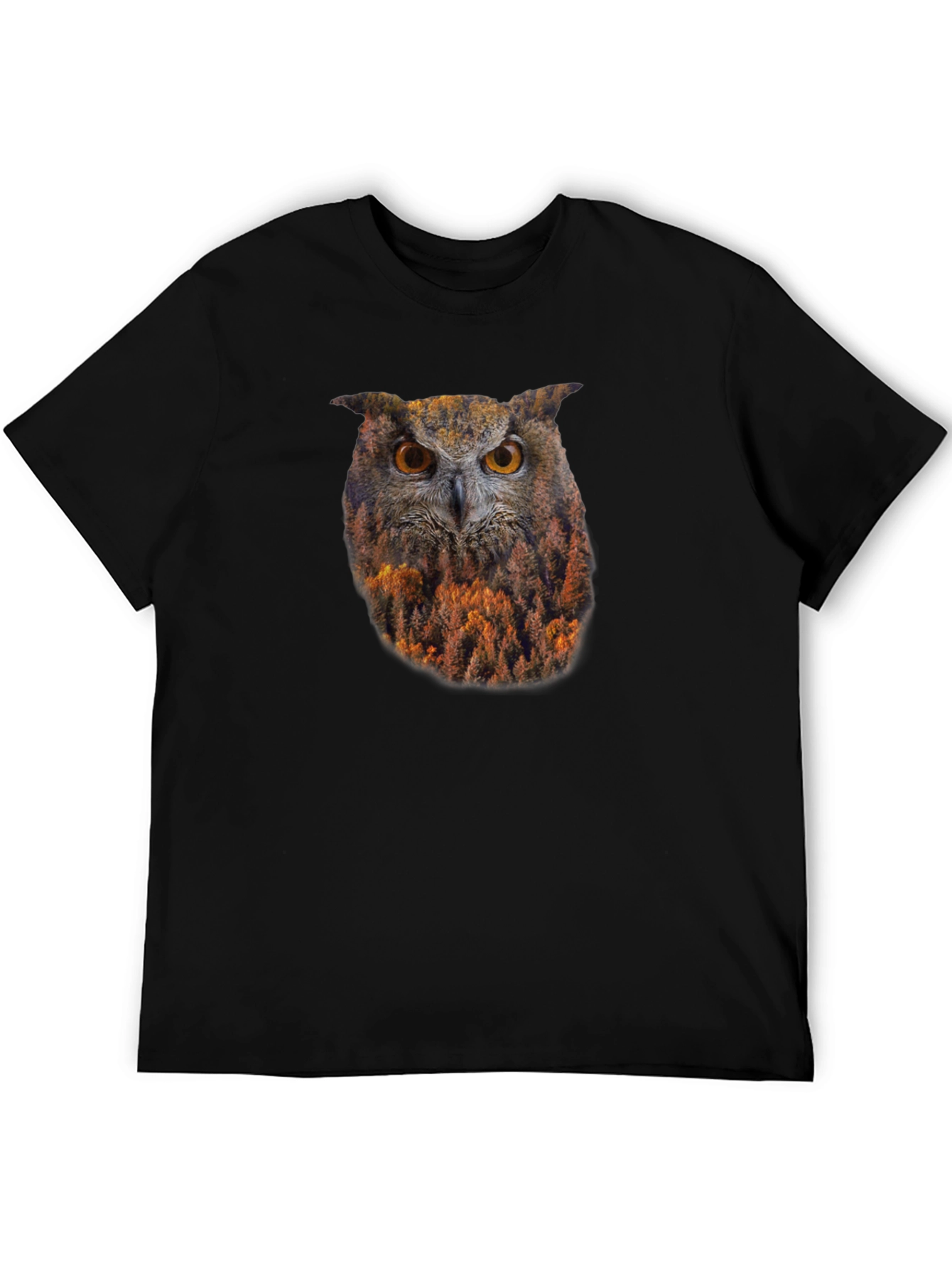 Owl Forest Graphic Print Black T-Shirt