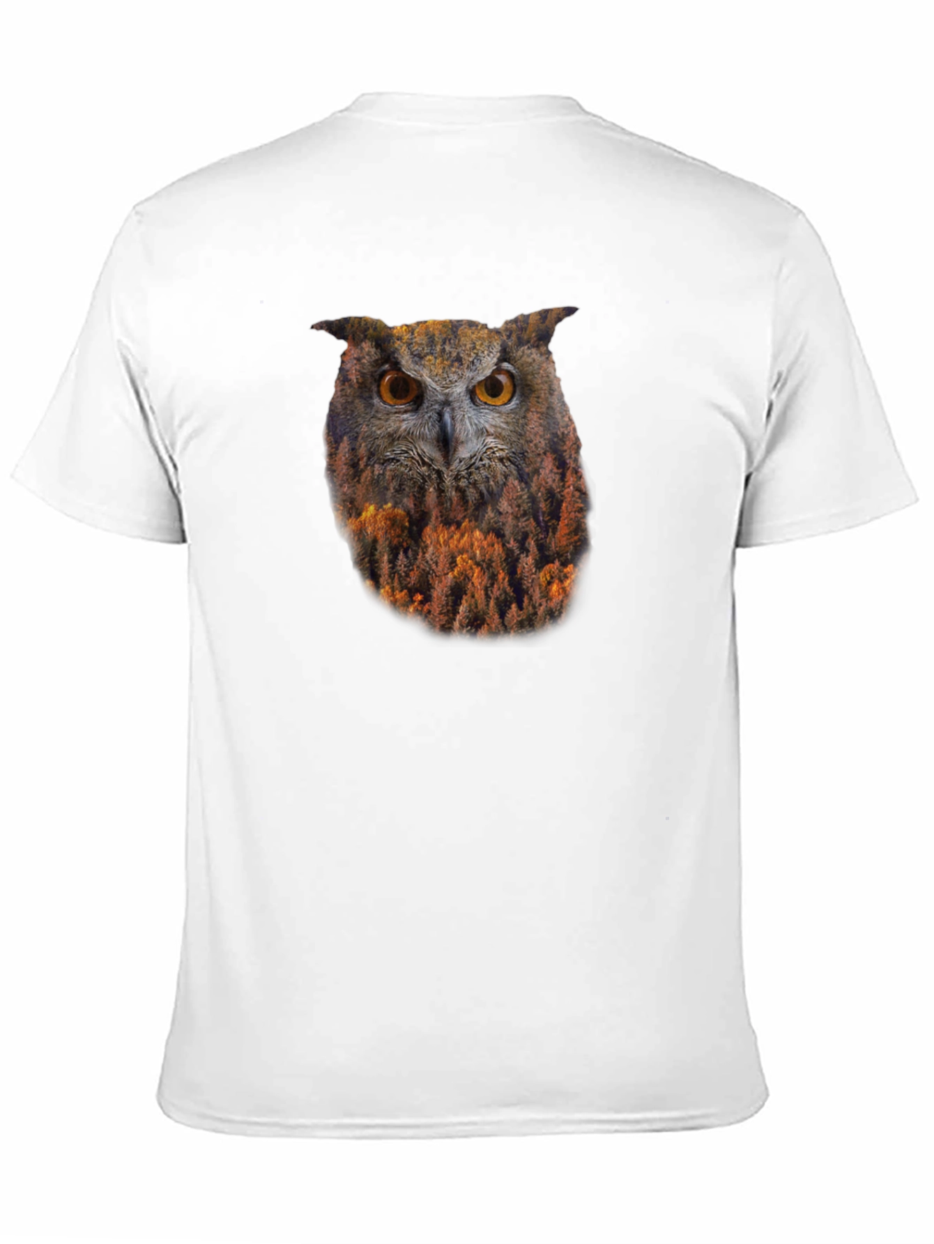 Owl Forest Graphic Print Black T-Shirt
