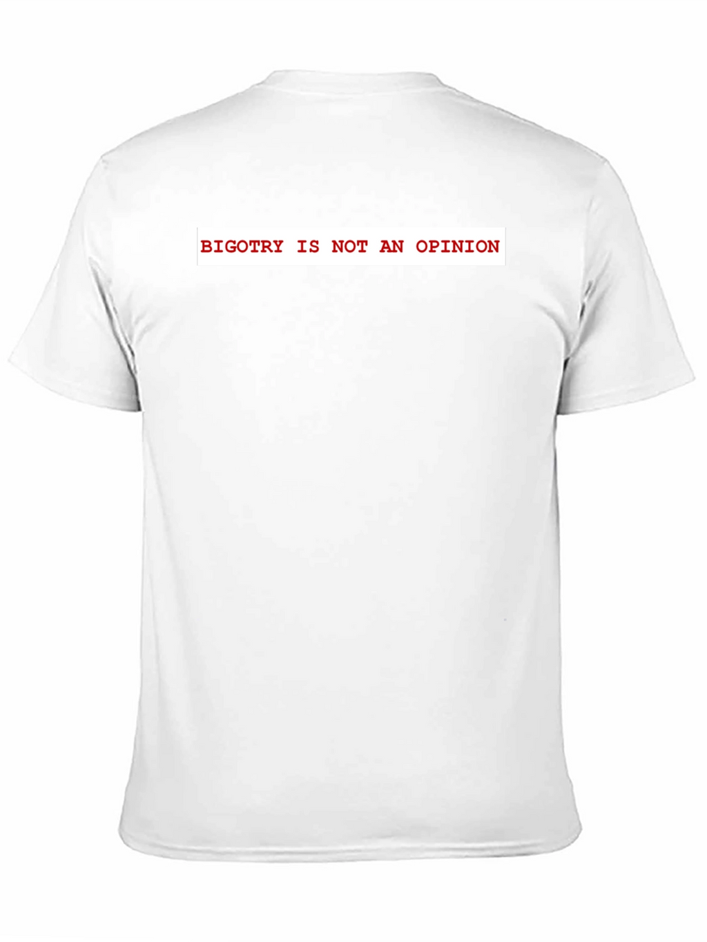 Bigotry Is Not An Opinion Graphic Tee