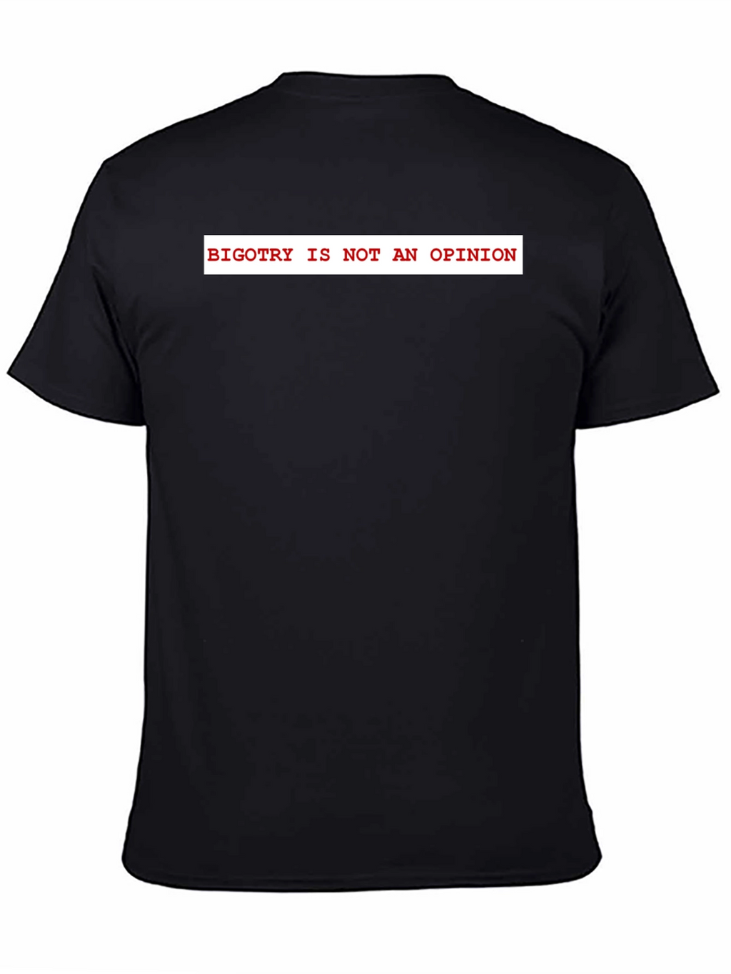 Bigotry Is Not An Opinion Graphic Tee