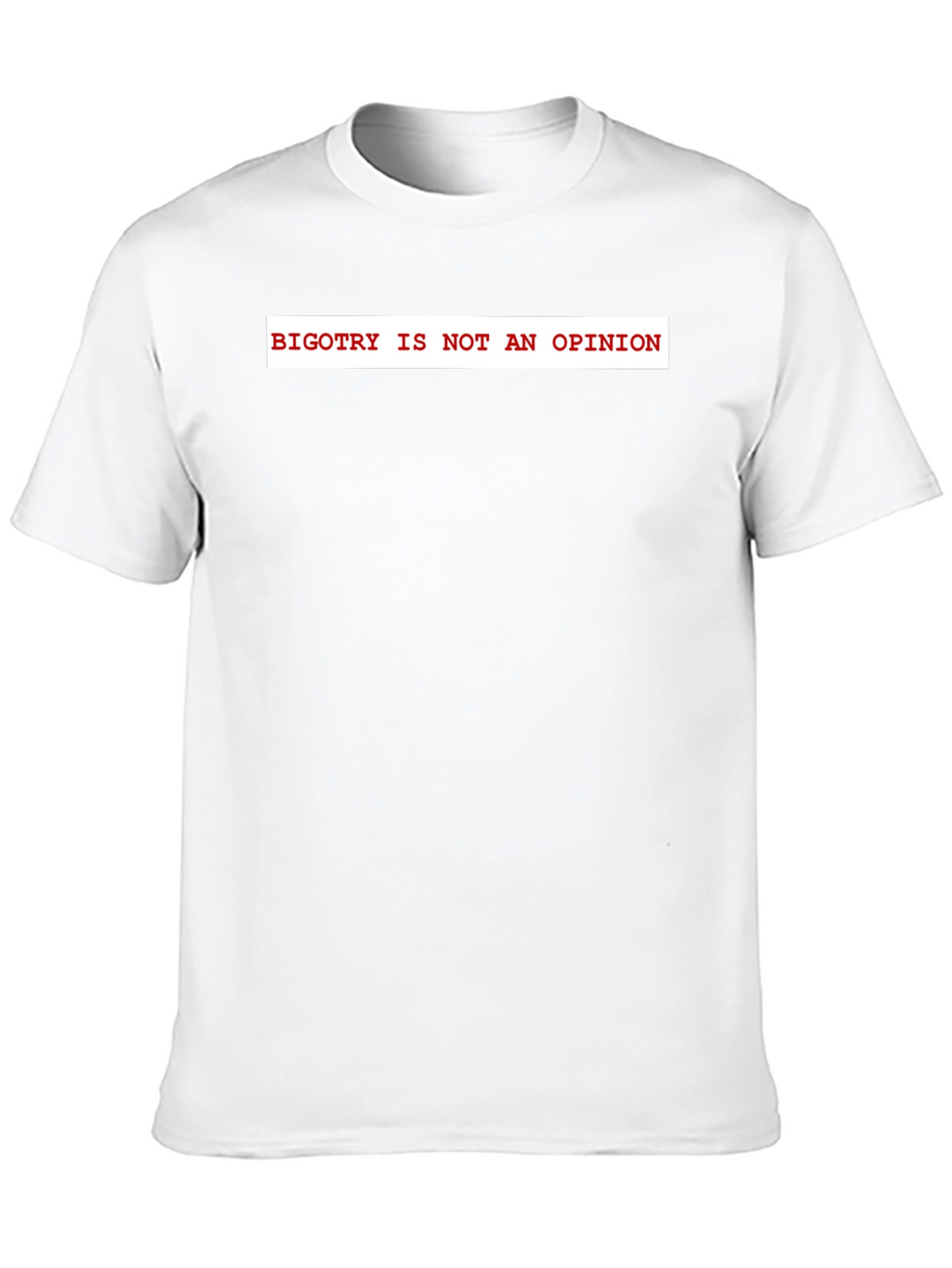 Bigotry Is Not An Opinion Graphic Tee
