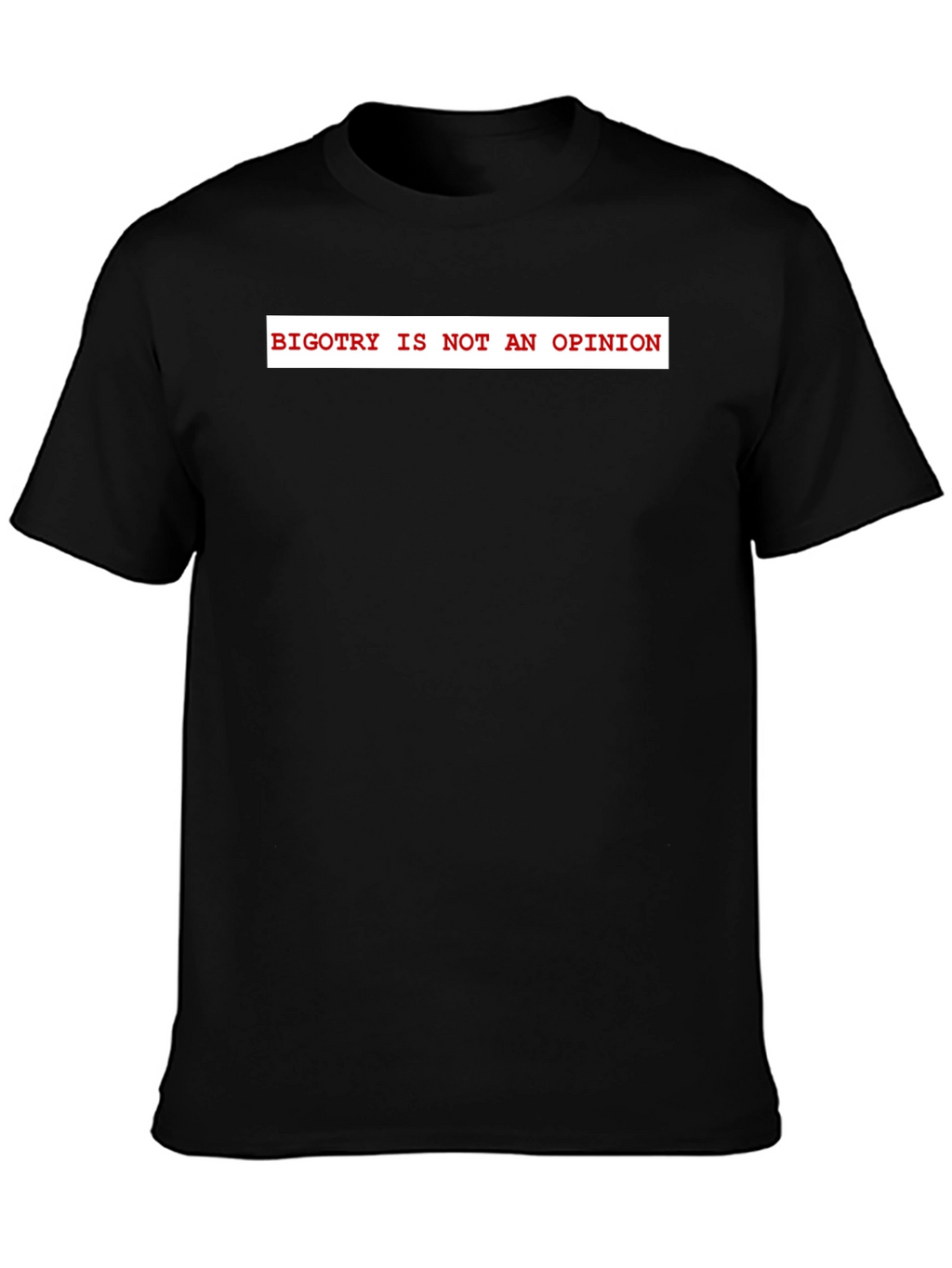 Bigotry Is Not An Opinion Graphic Tee