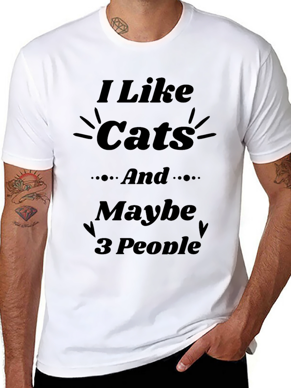 I Like Cats and Maybe 3 People T-Shirt
