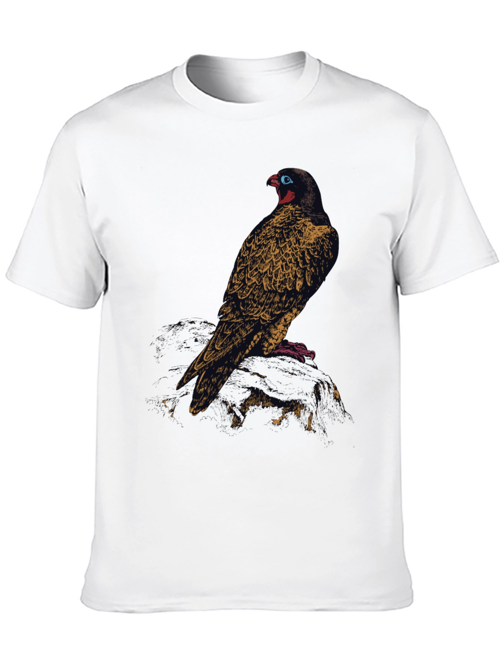 Raven Graphic Black T-Shirt