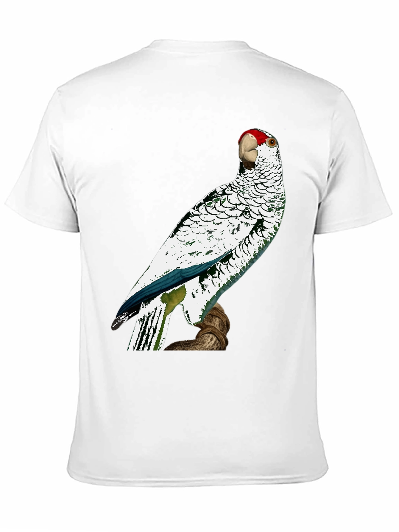 Parrot Graphic Tee - Unique Bird Design
